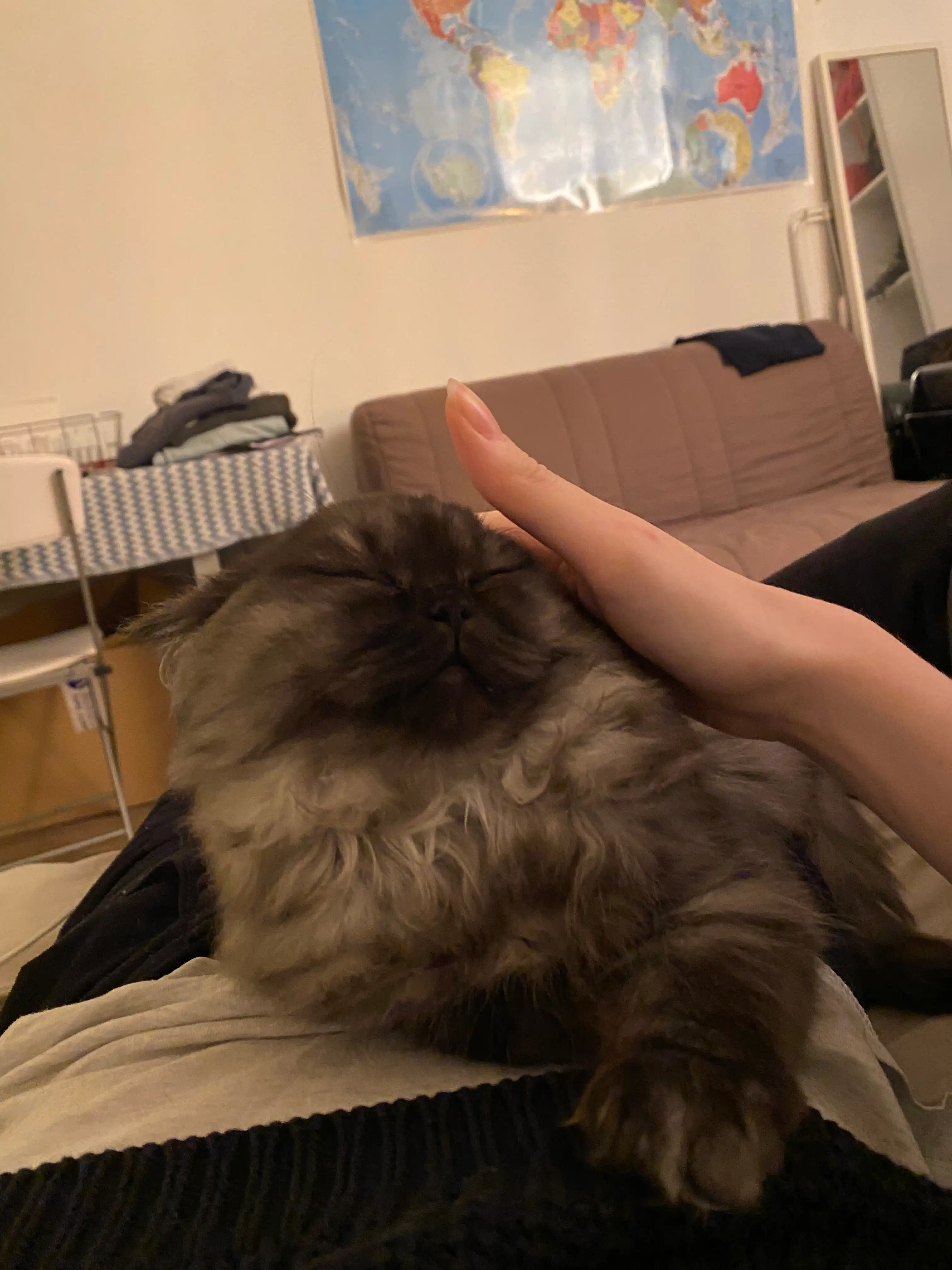 image-6