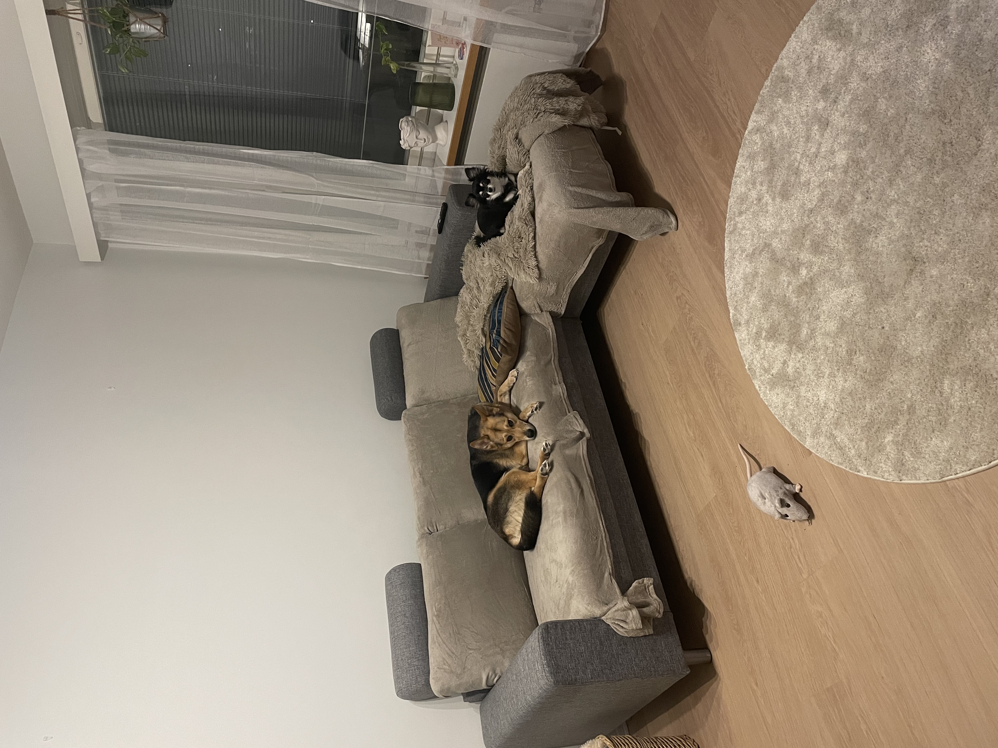 image-14