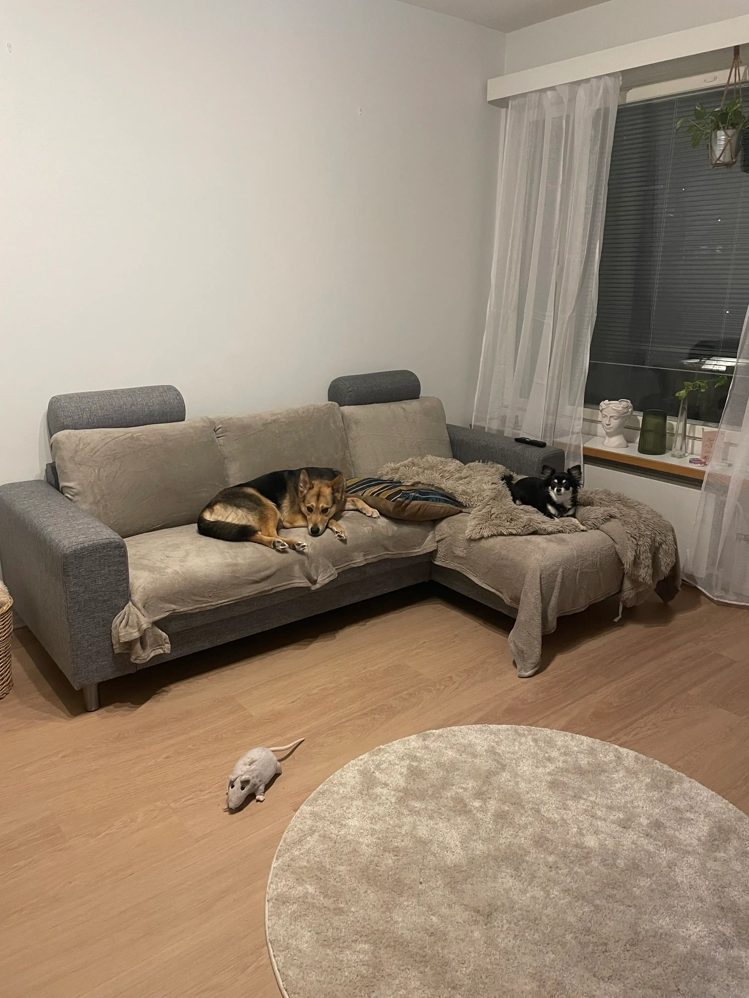 image-14