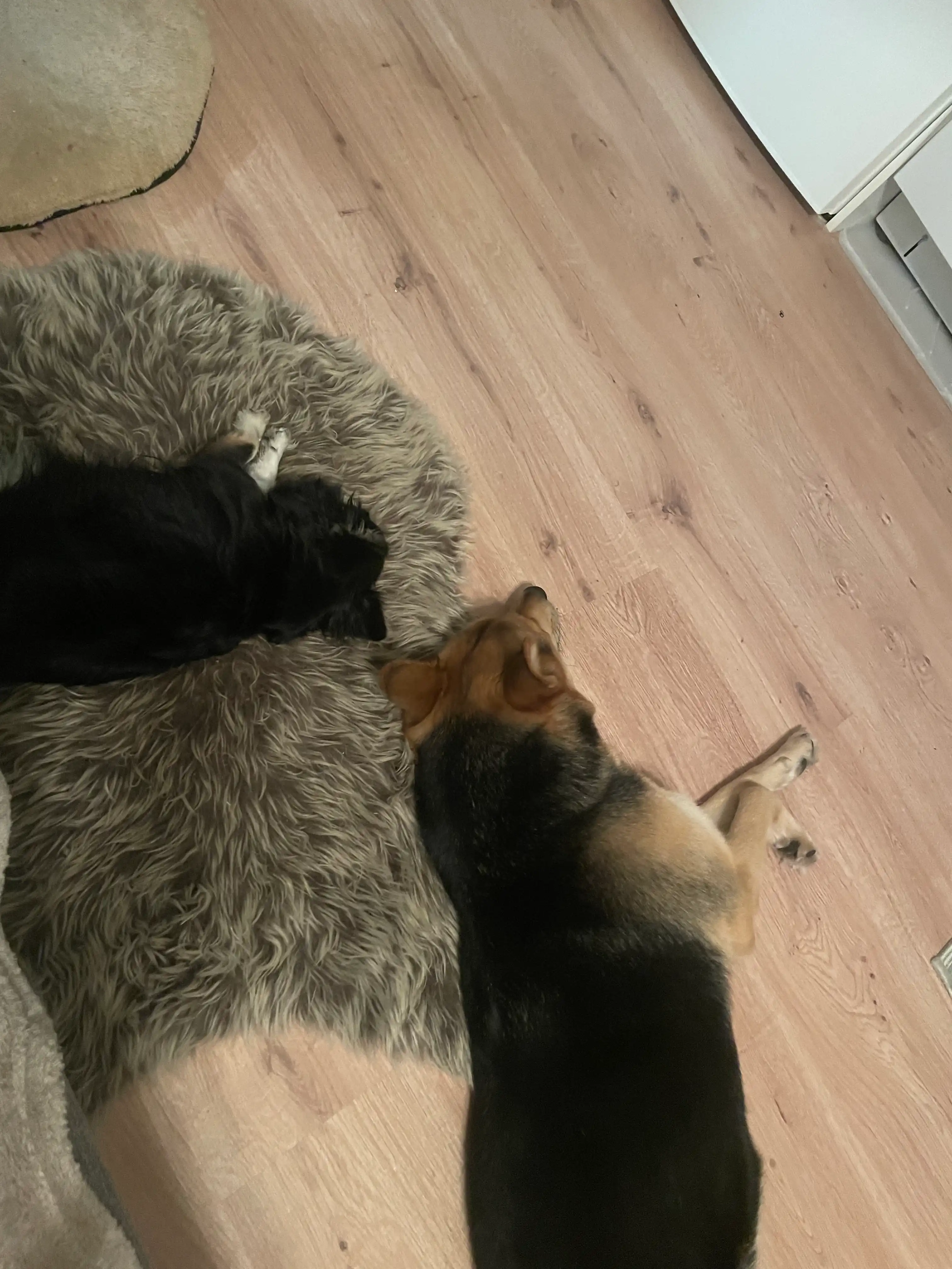 image-9