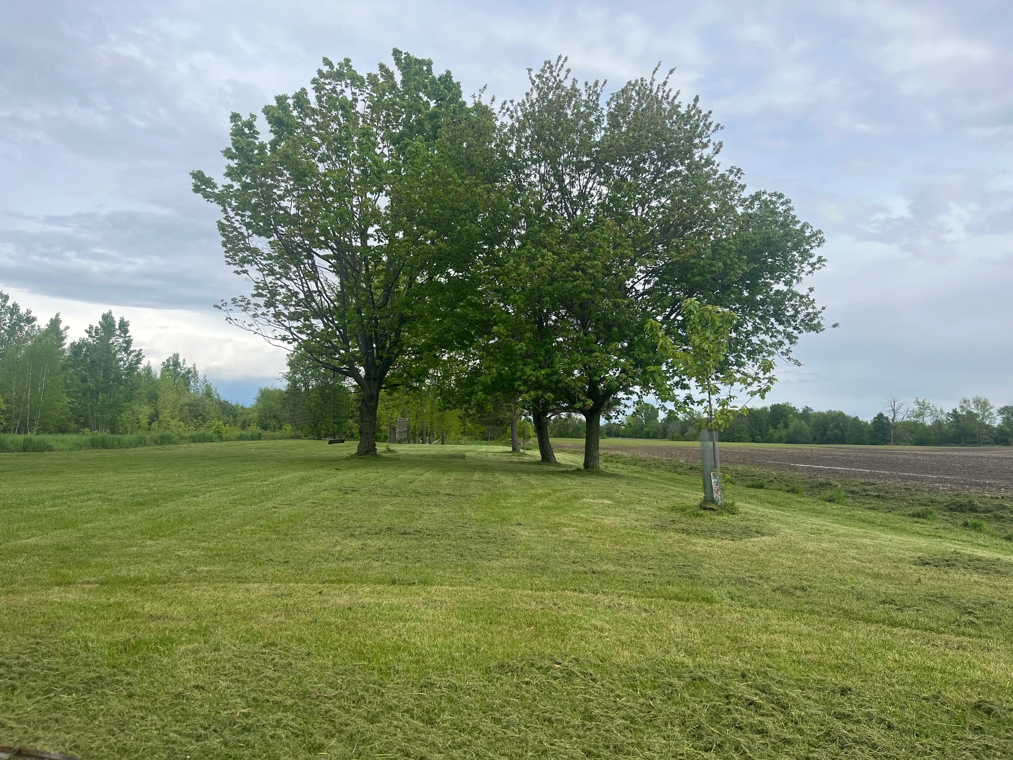 image-69