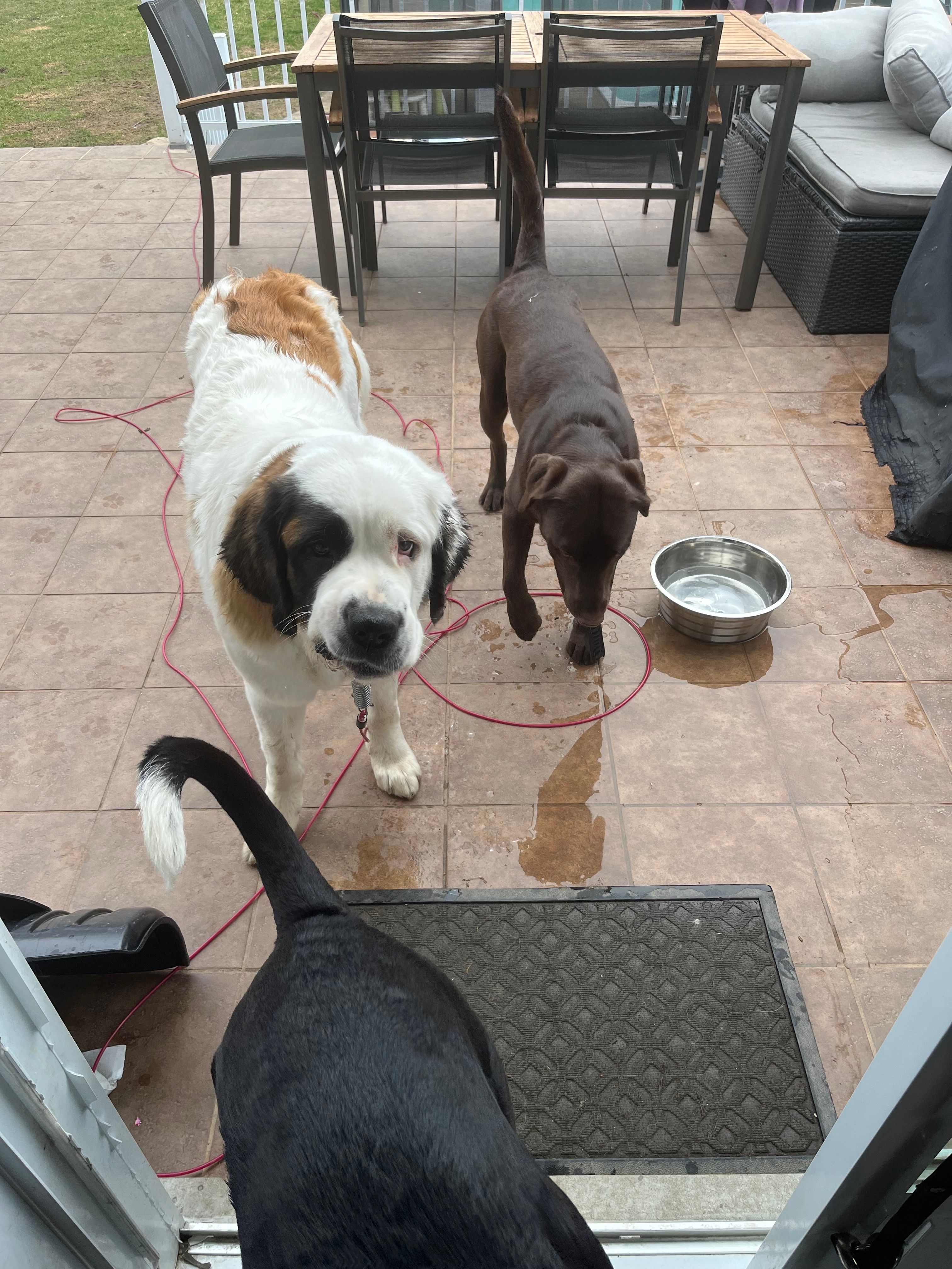 image-27