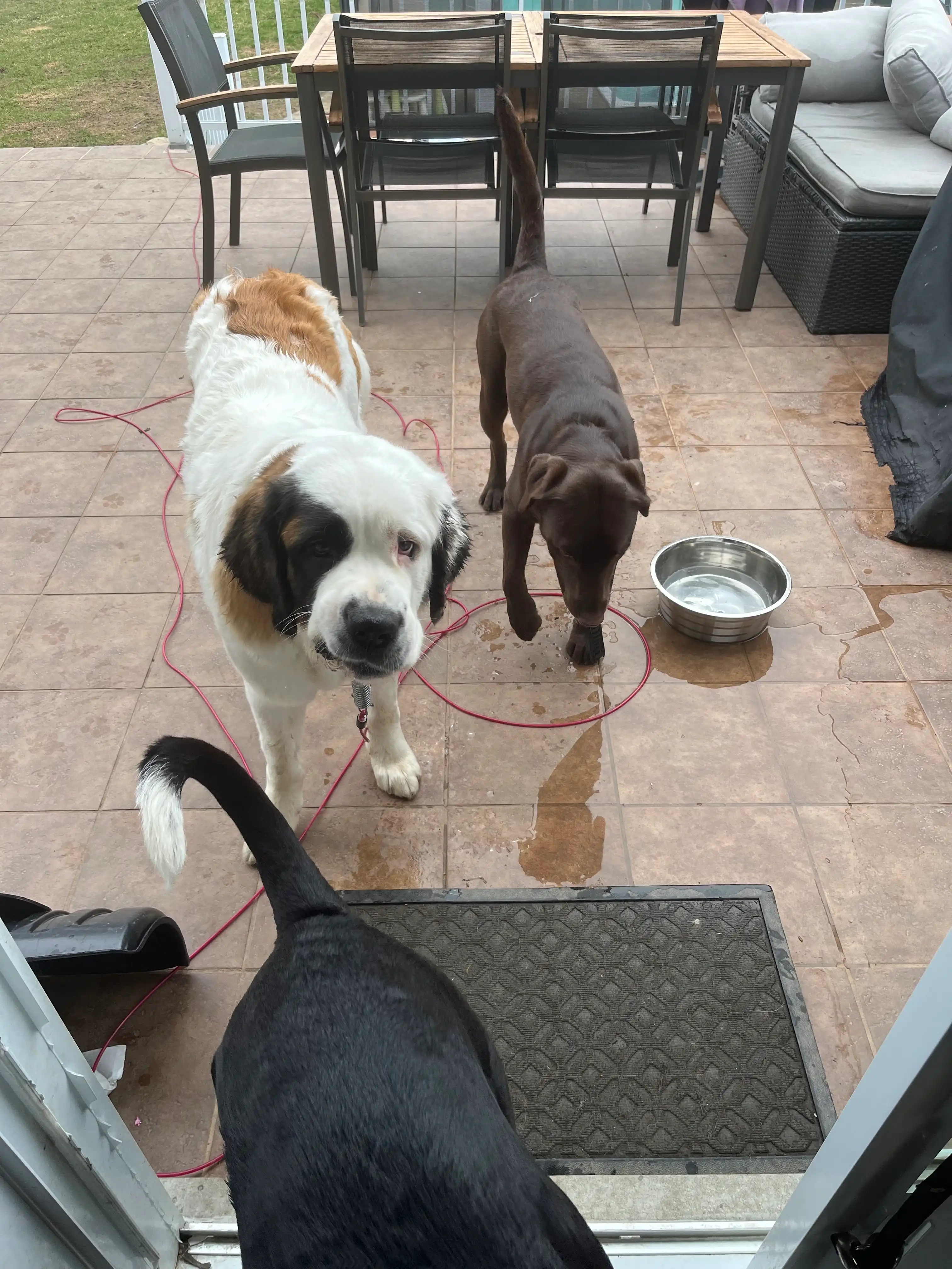 image-27
