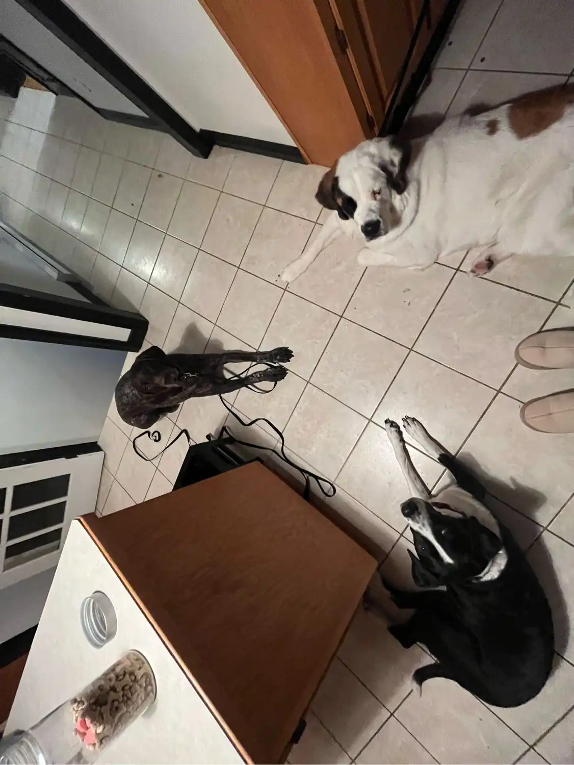 image-61