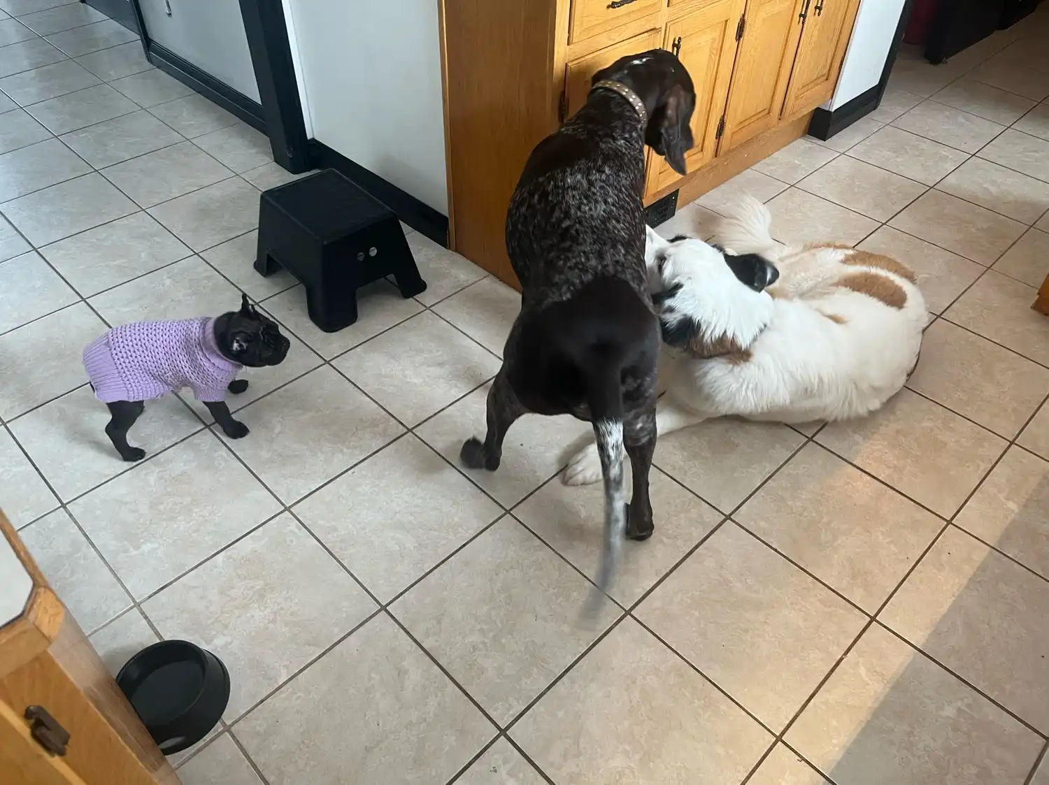image-14