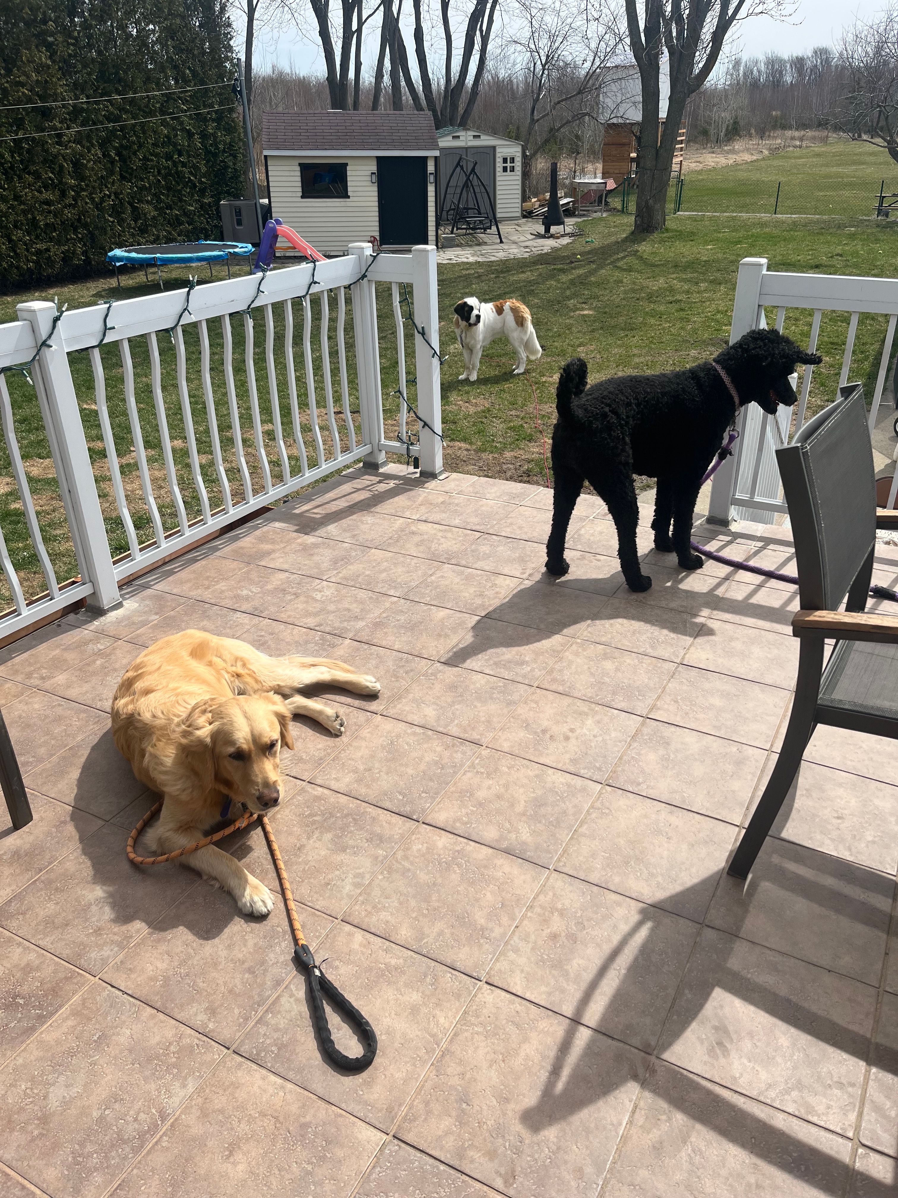 image-28
