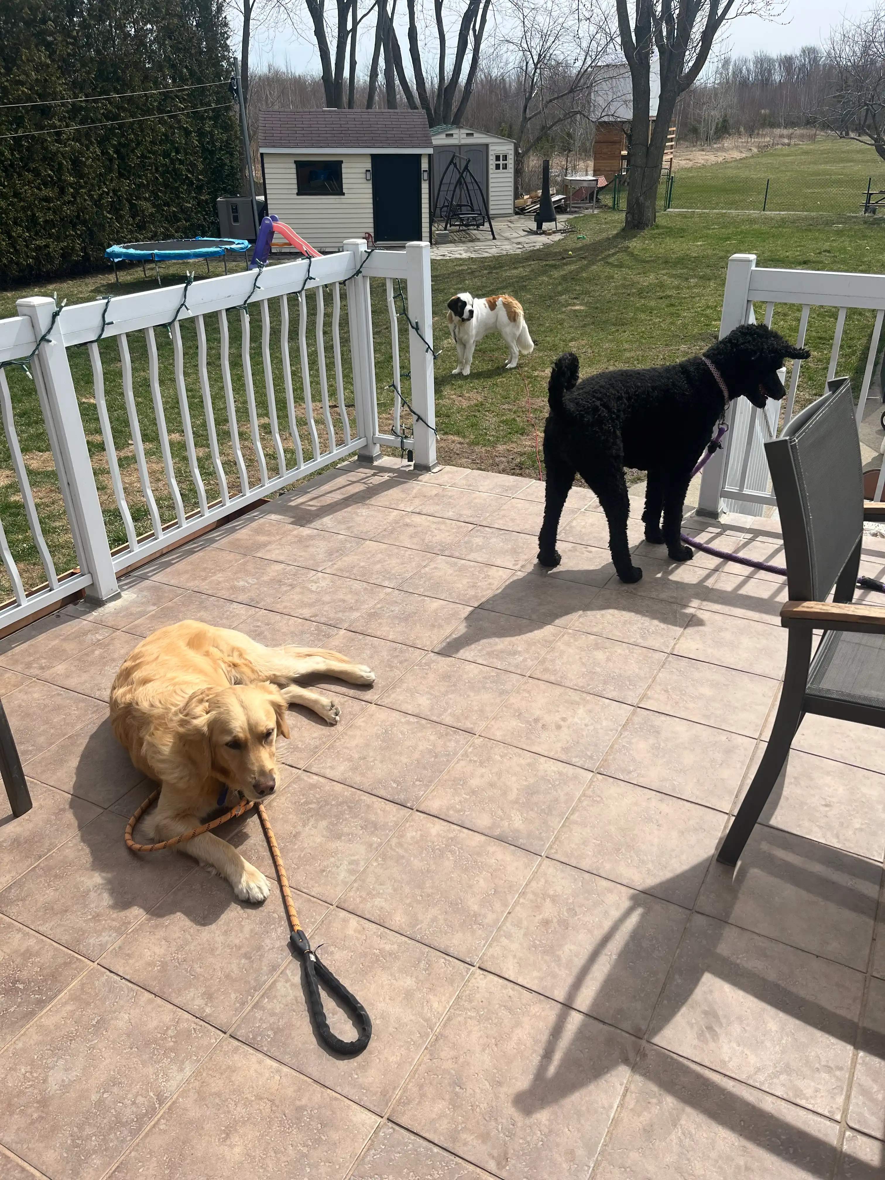image-28