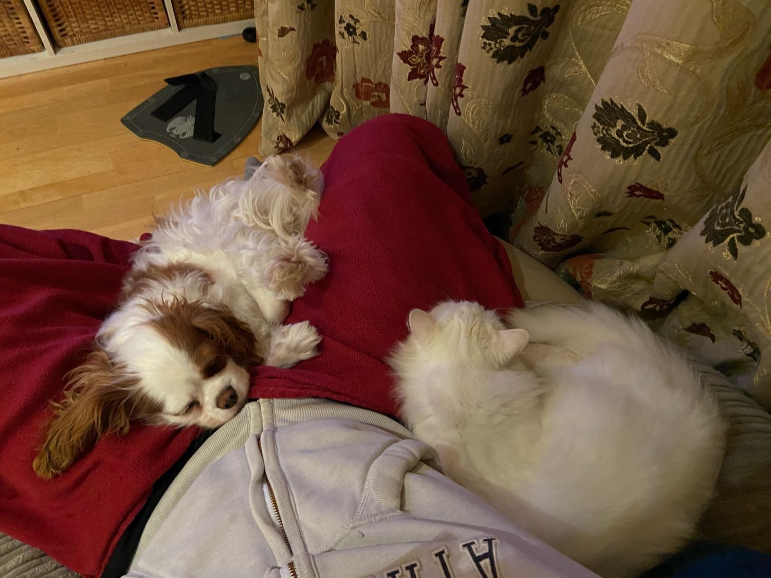 image-9