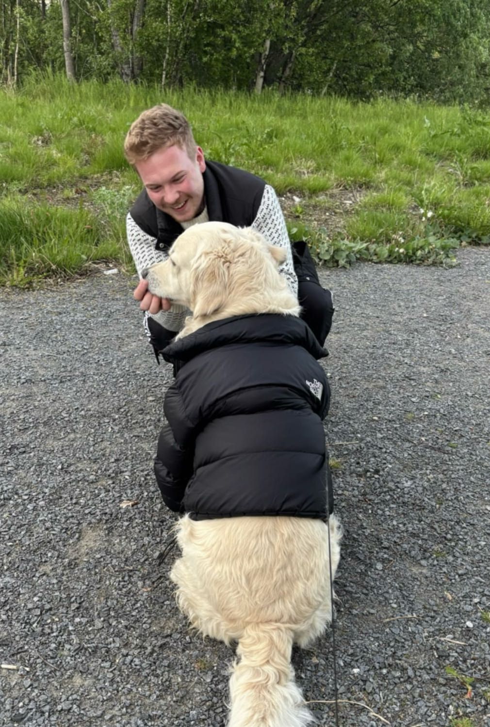 image-9