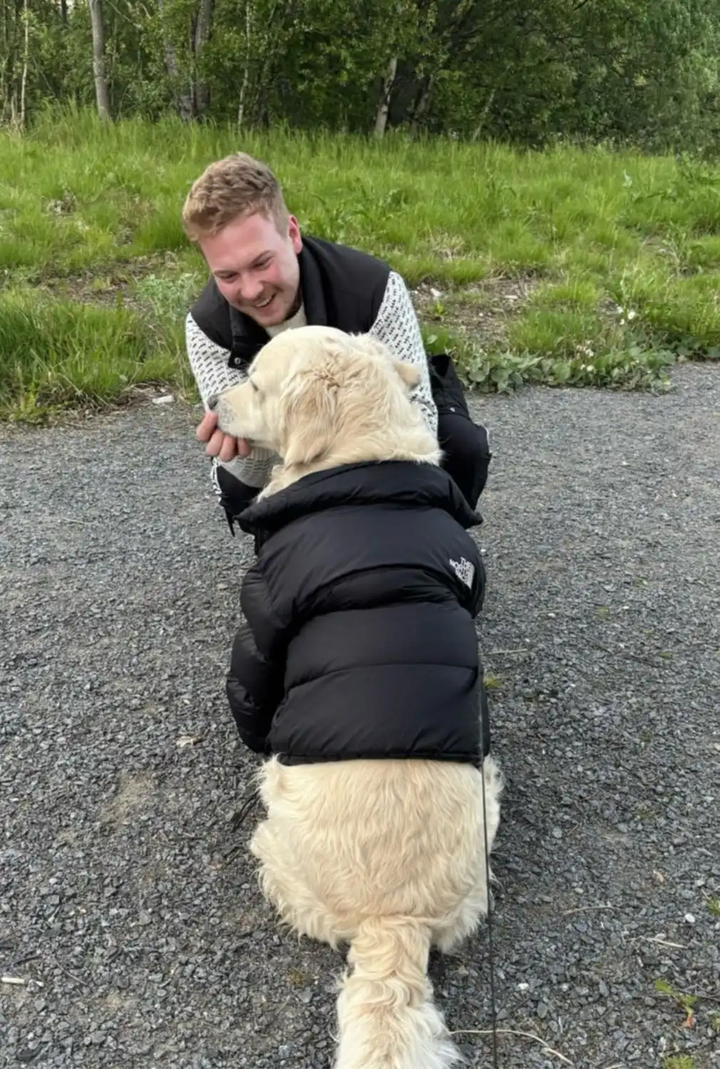 image-9