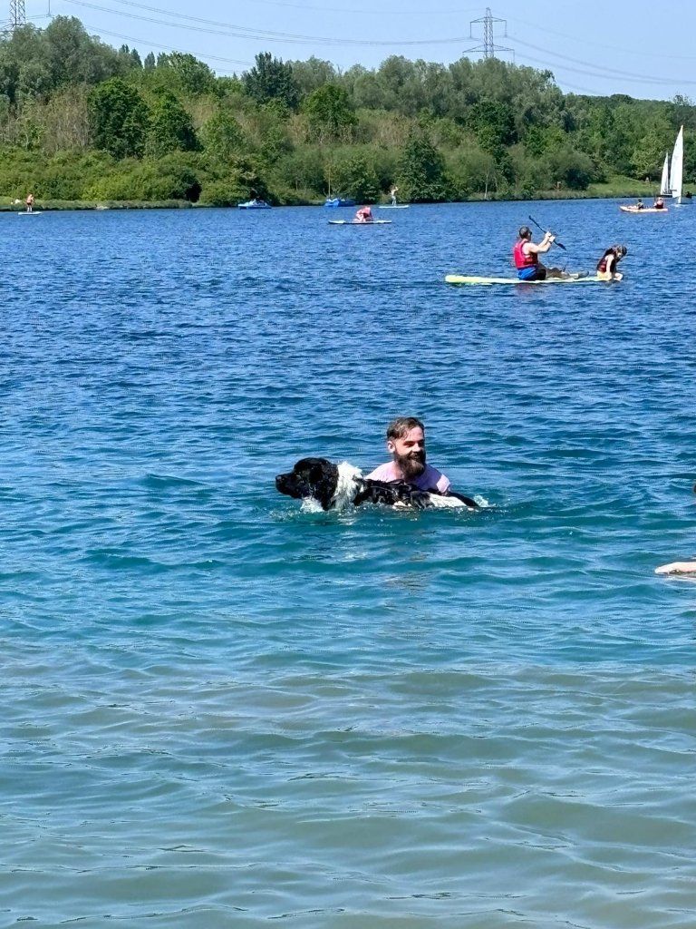 image-14