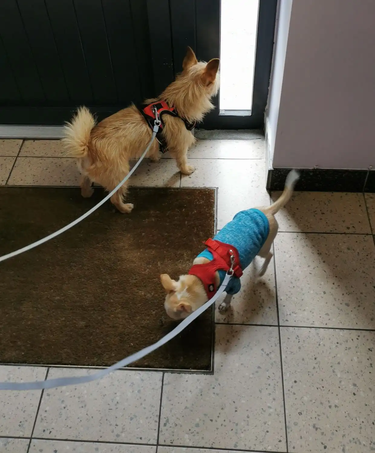 image-8