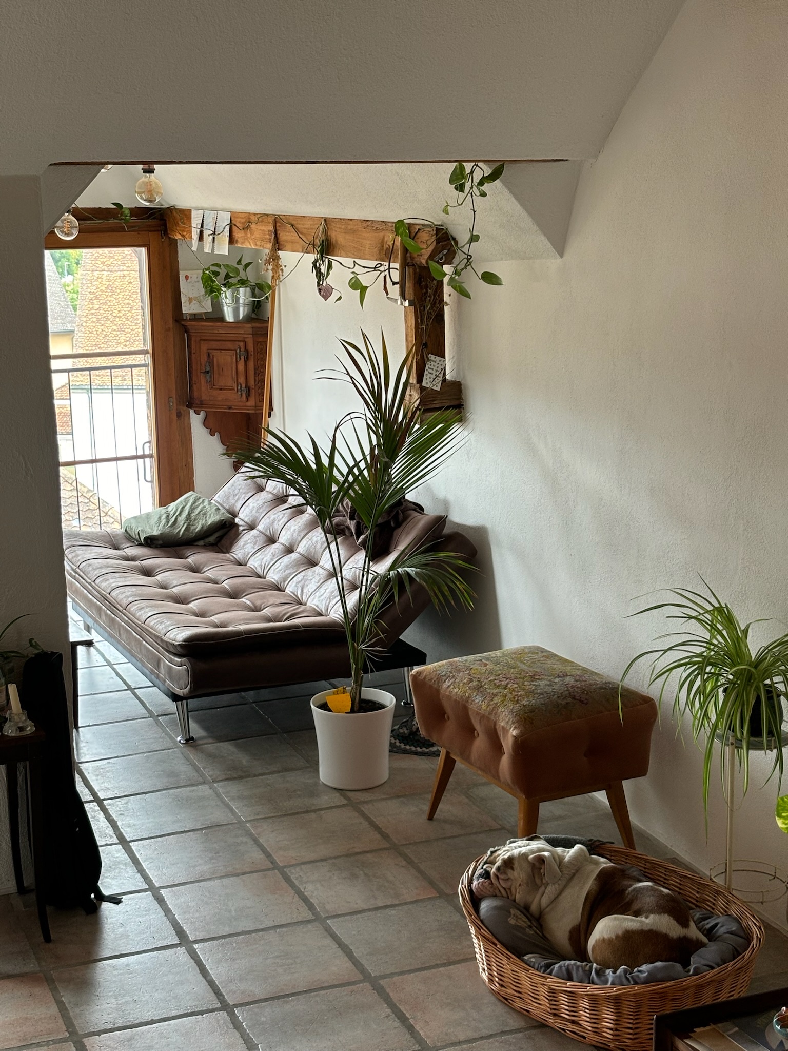 image-14