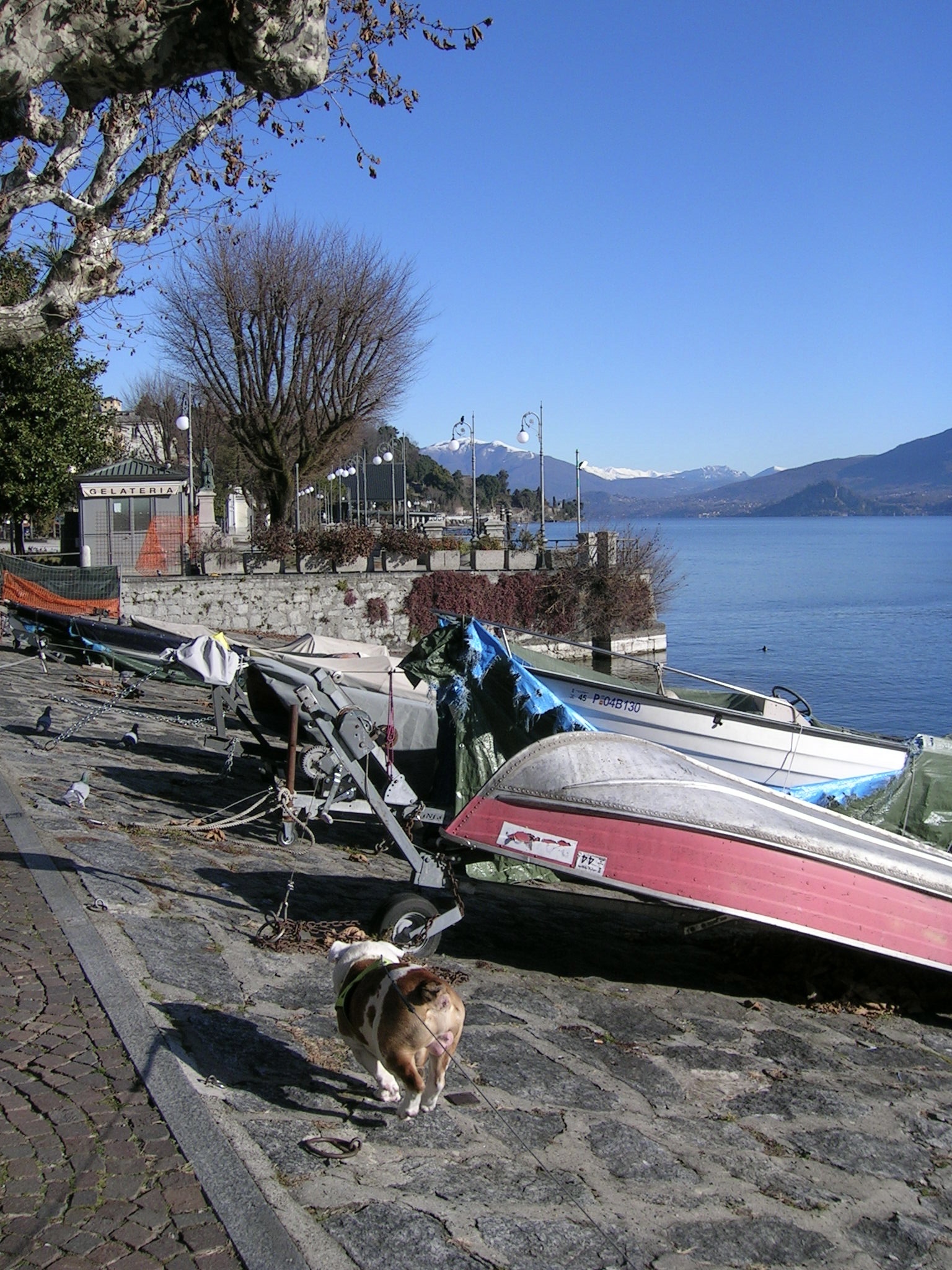 image-10