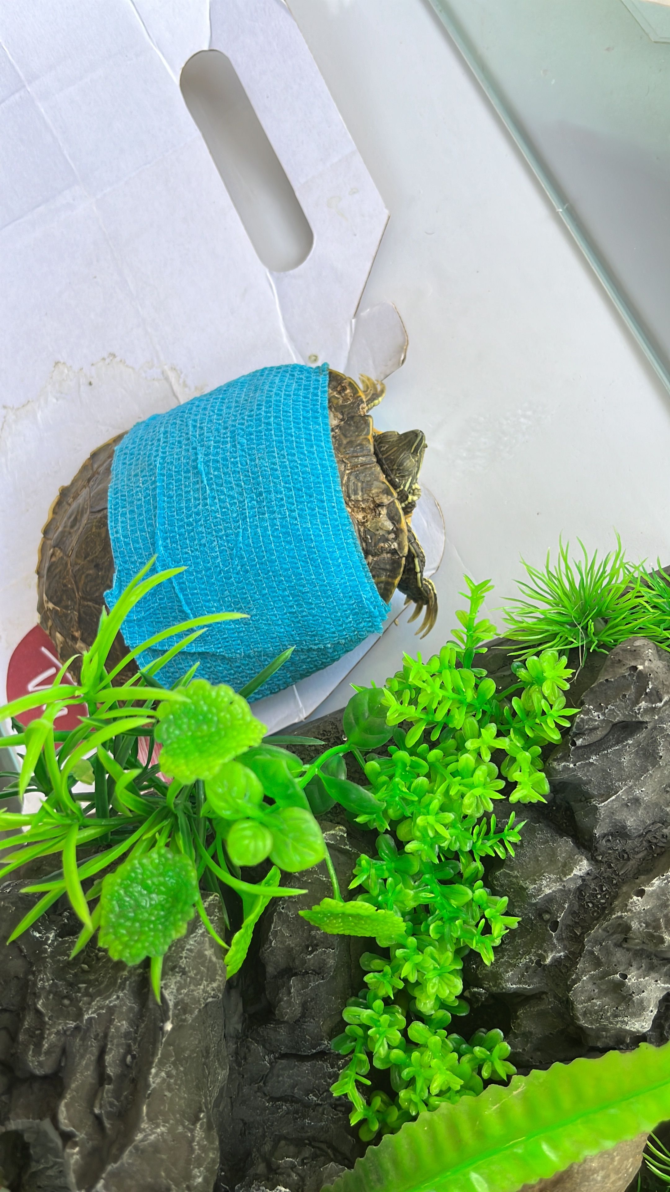 image-3