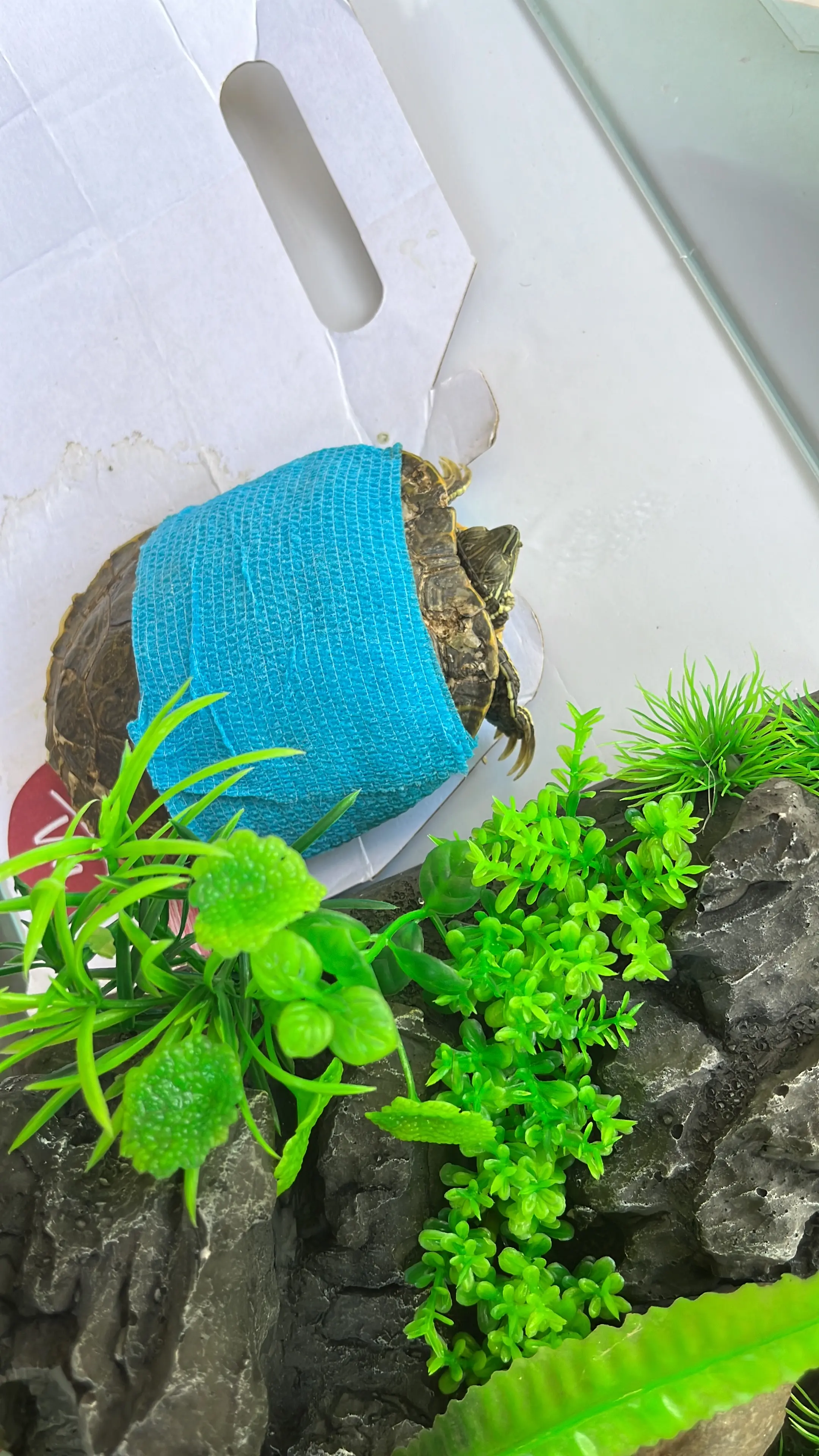 image-3