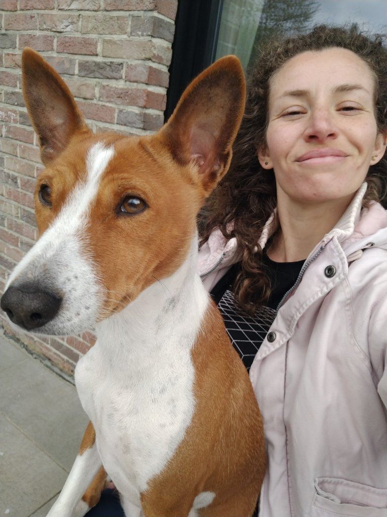 image-6