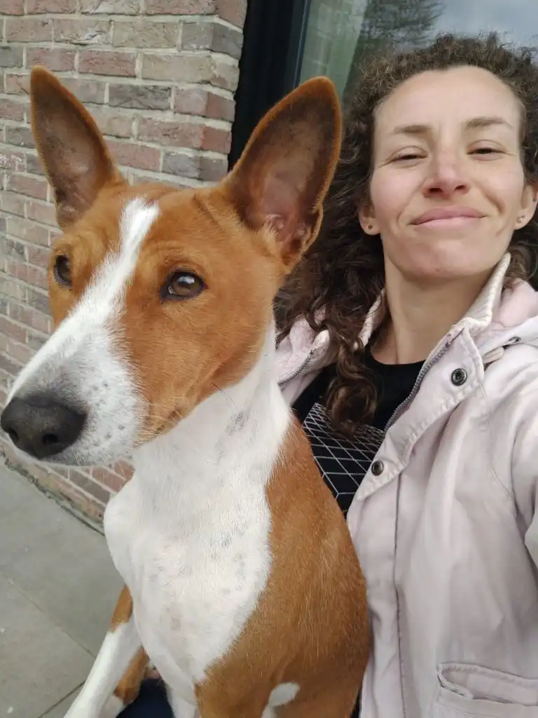 image-6