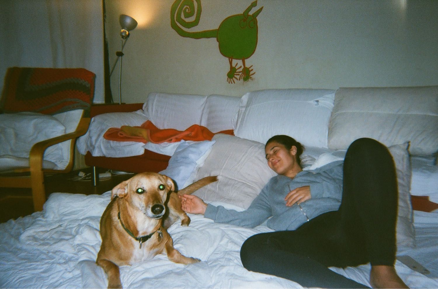 image-5