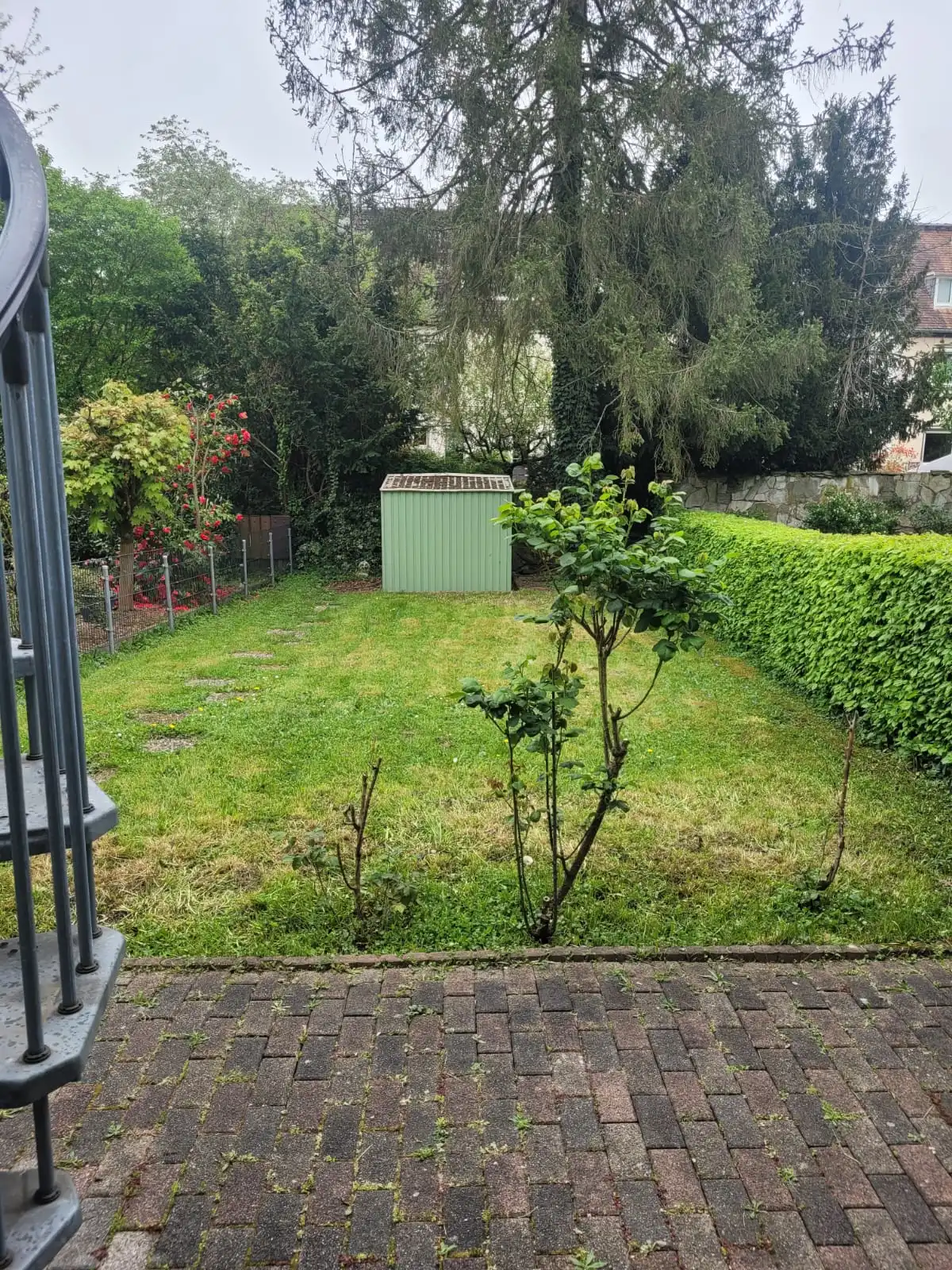 image-15