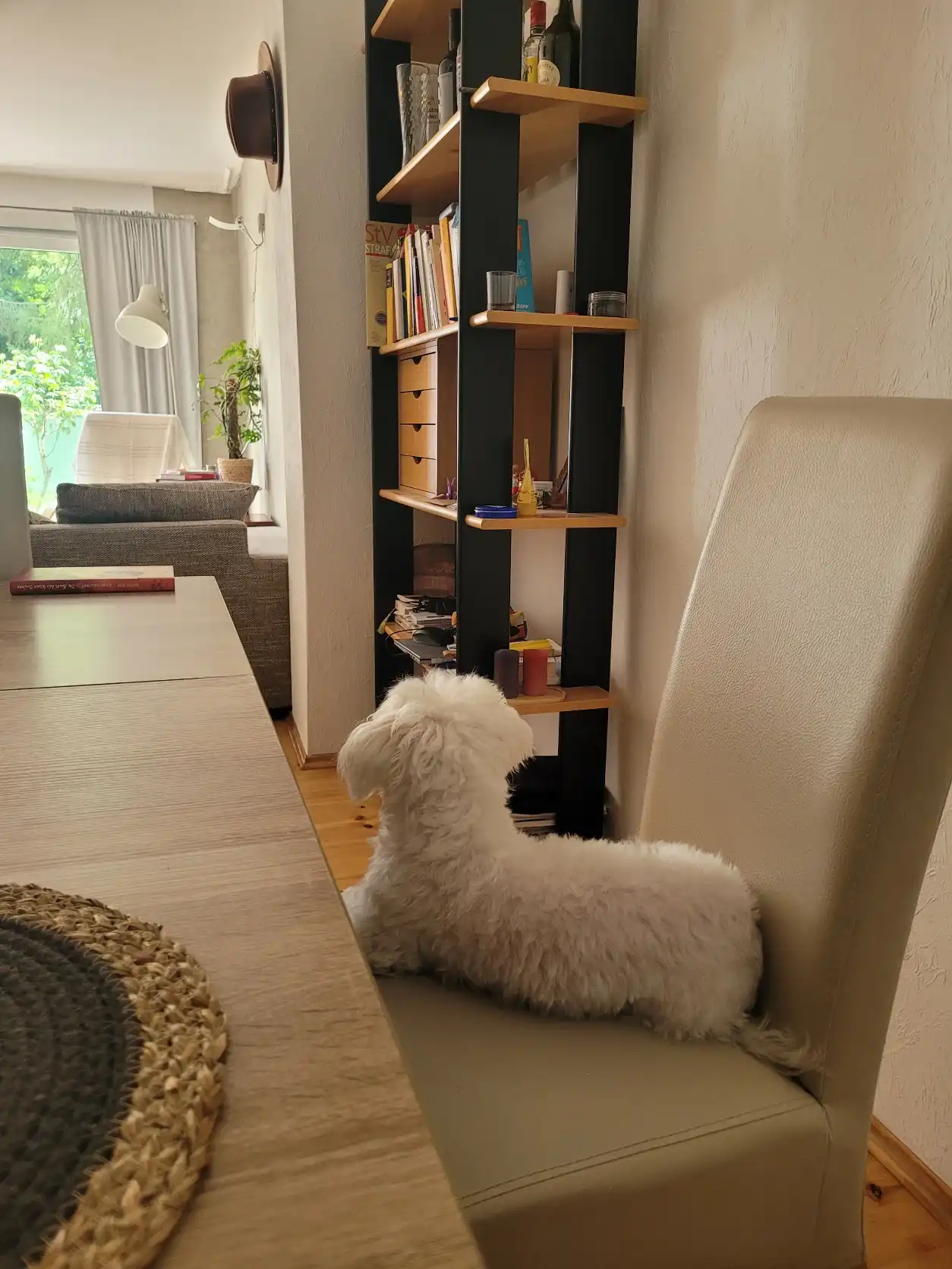 image-33