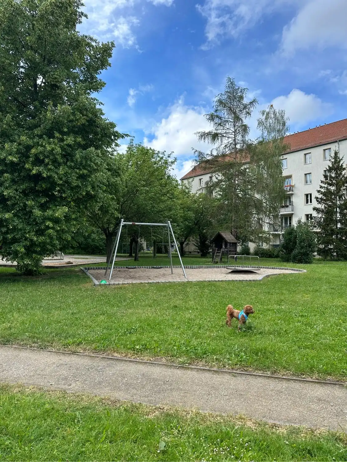 image-16