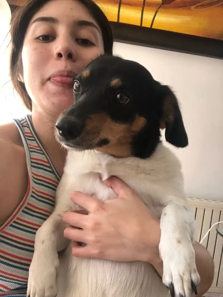 image-9