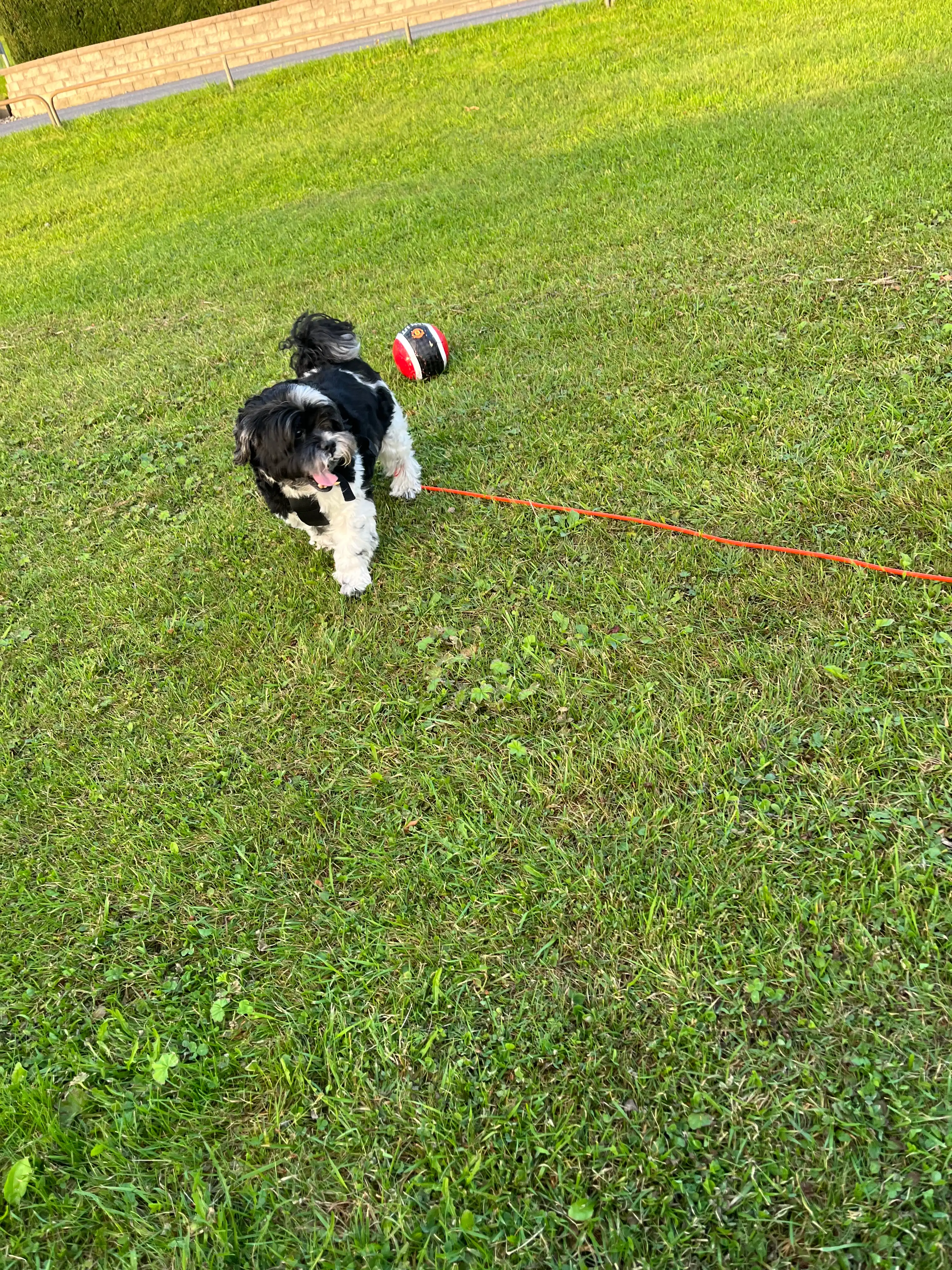 image-12