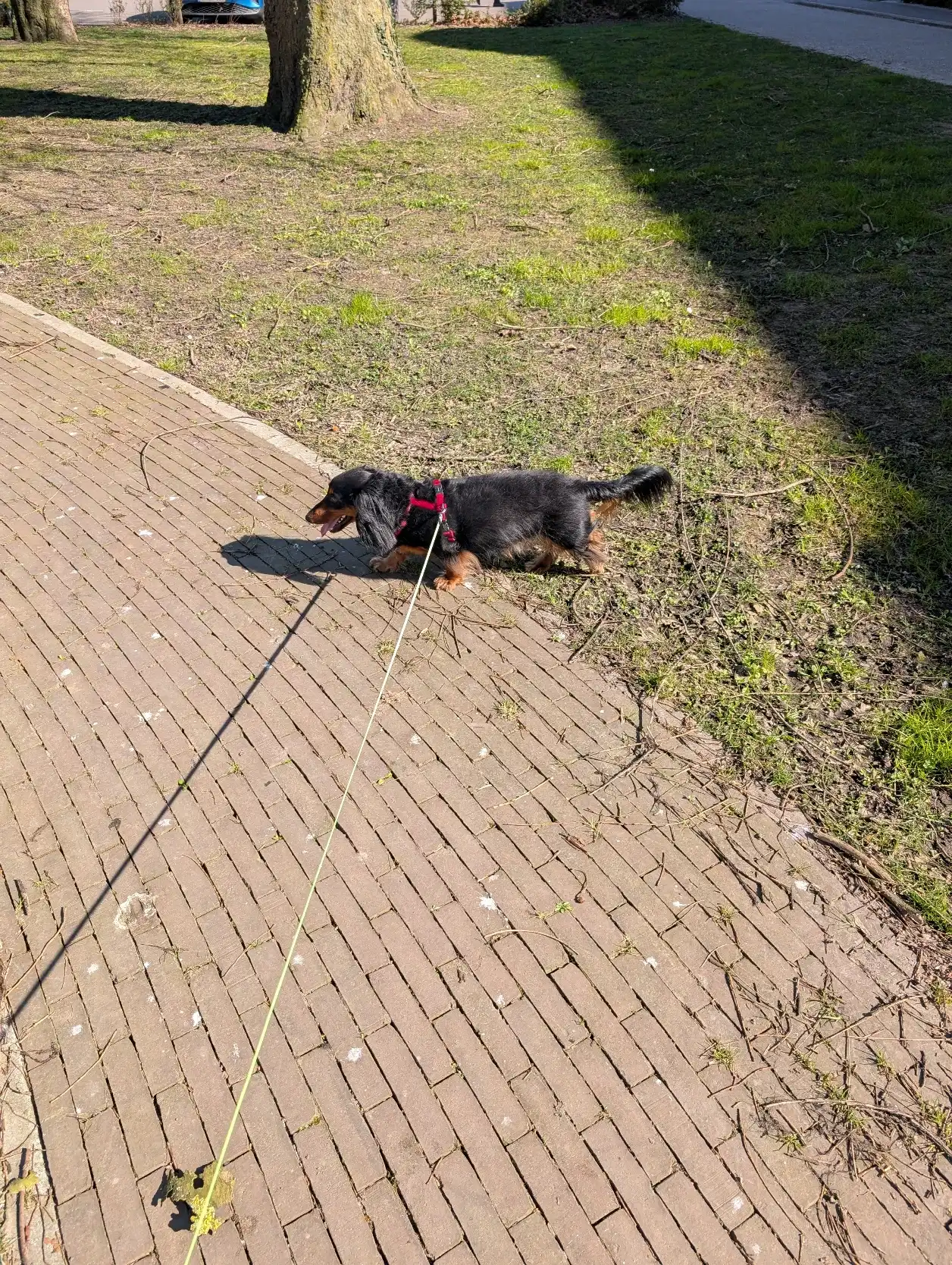 image-9