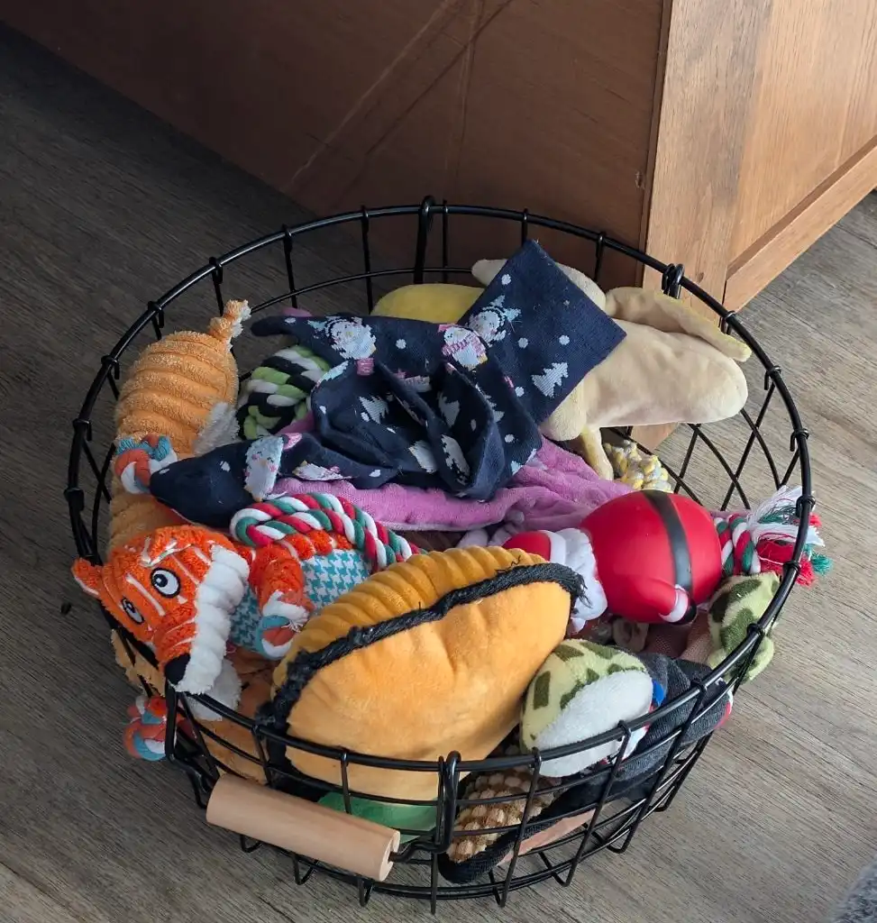 image-11