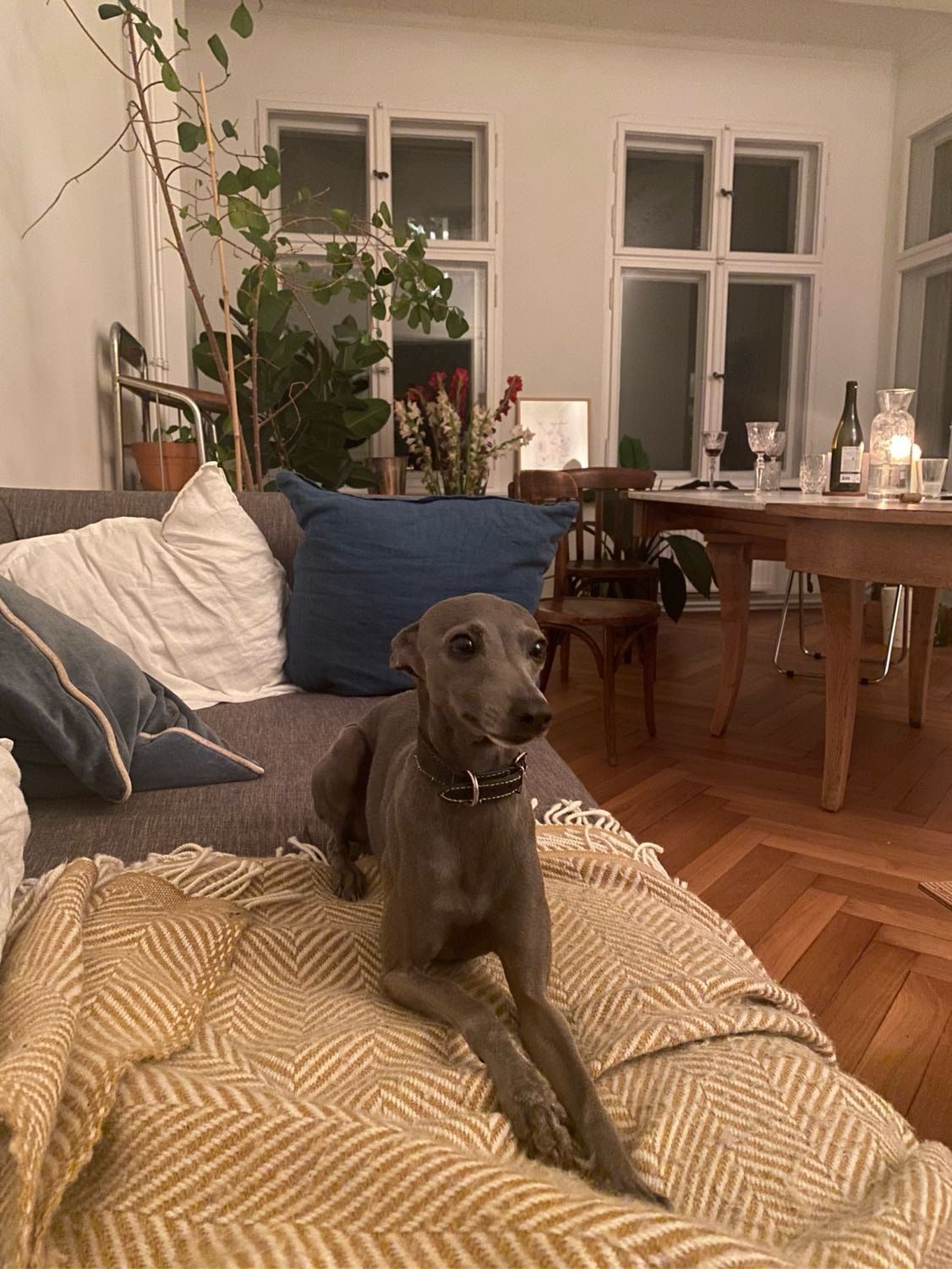 image-7