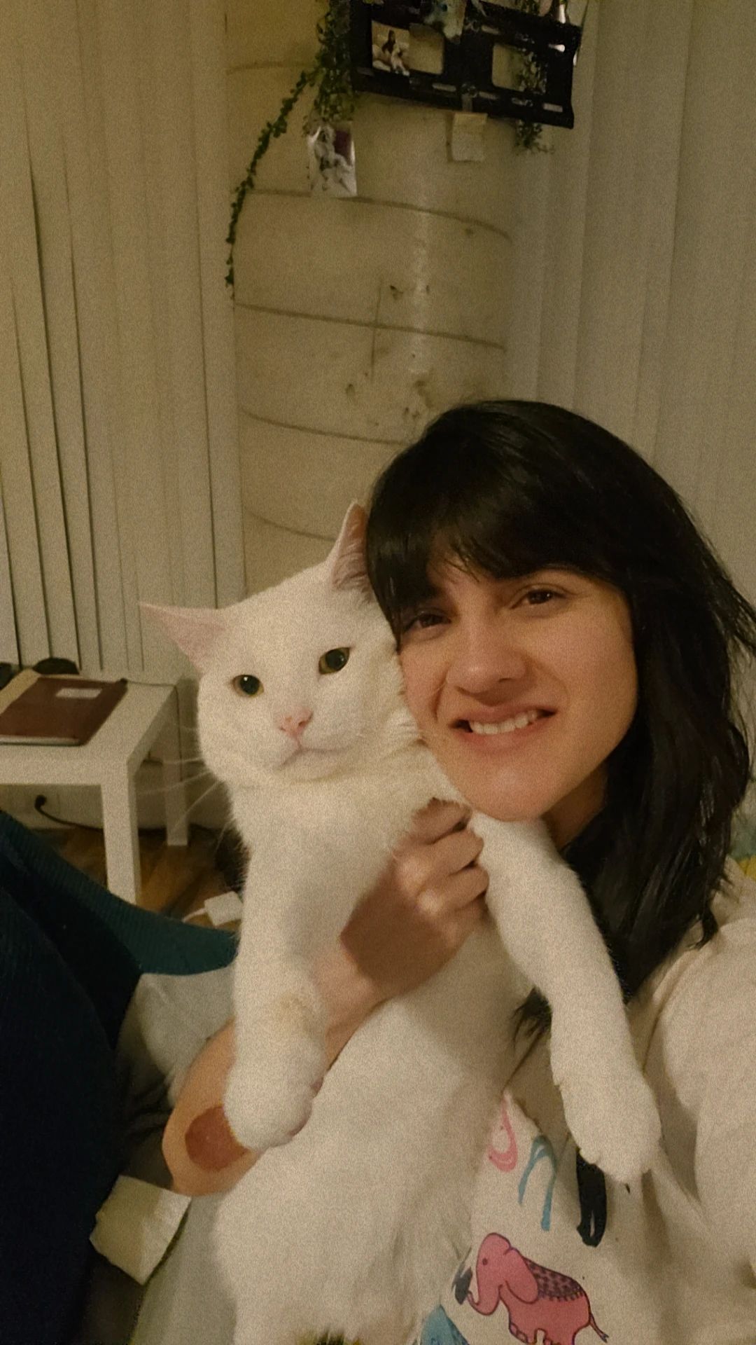 image-8