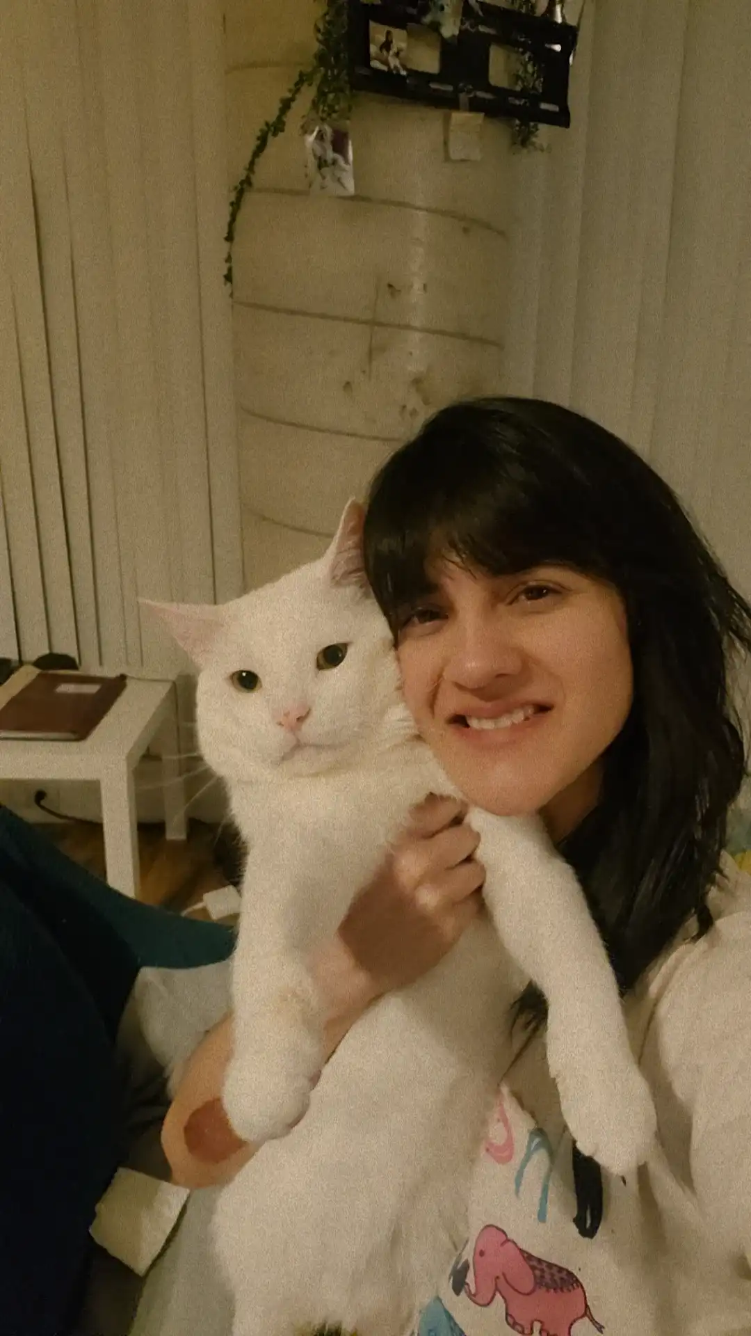 image-8