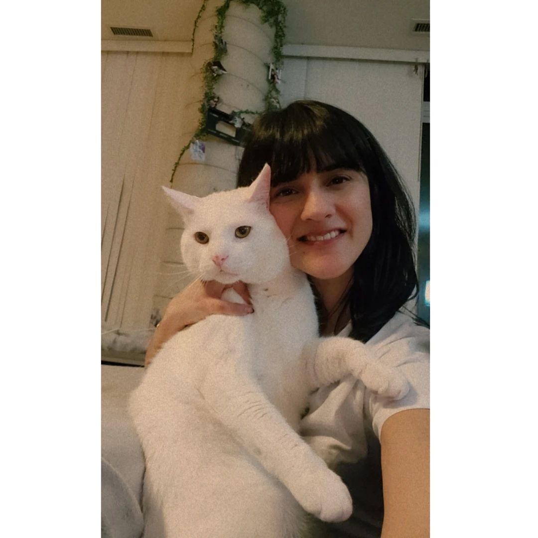 image-7