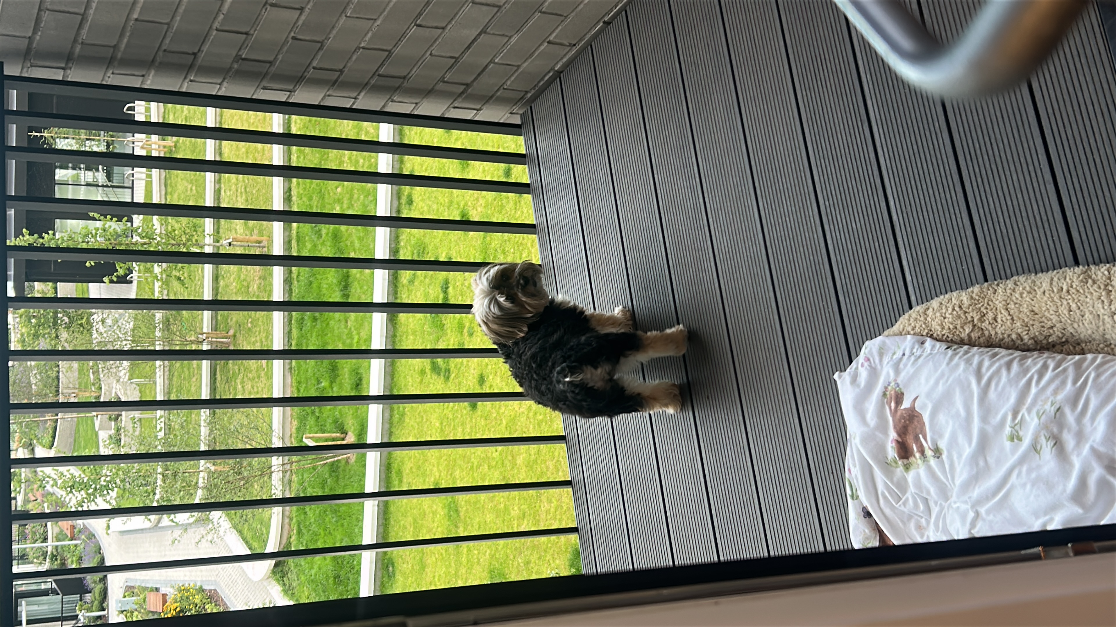 image-17