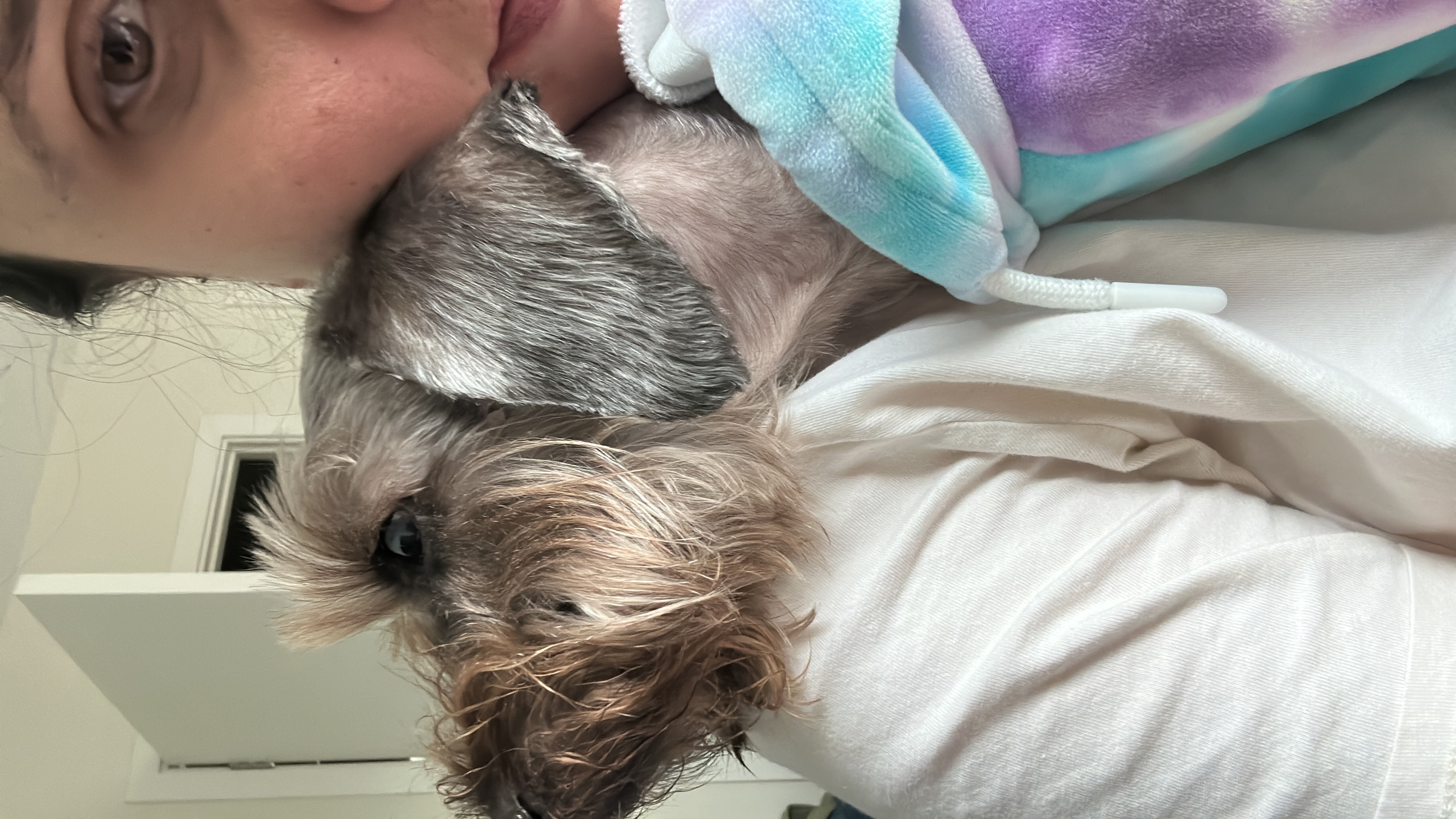 image-7