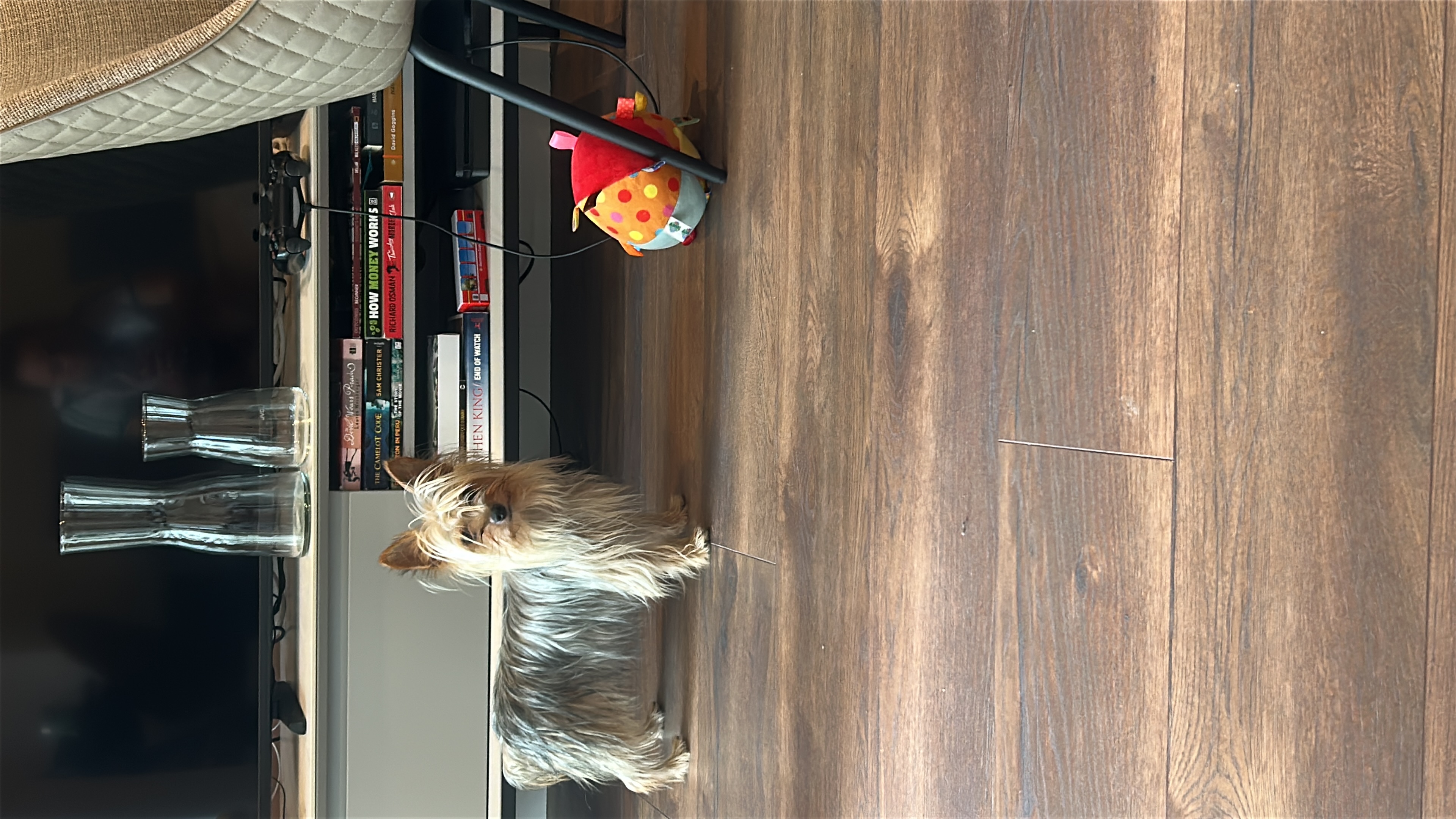 image-18