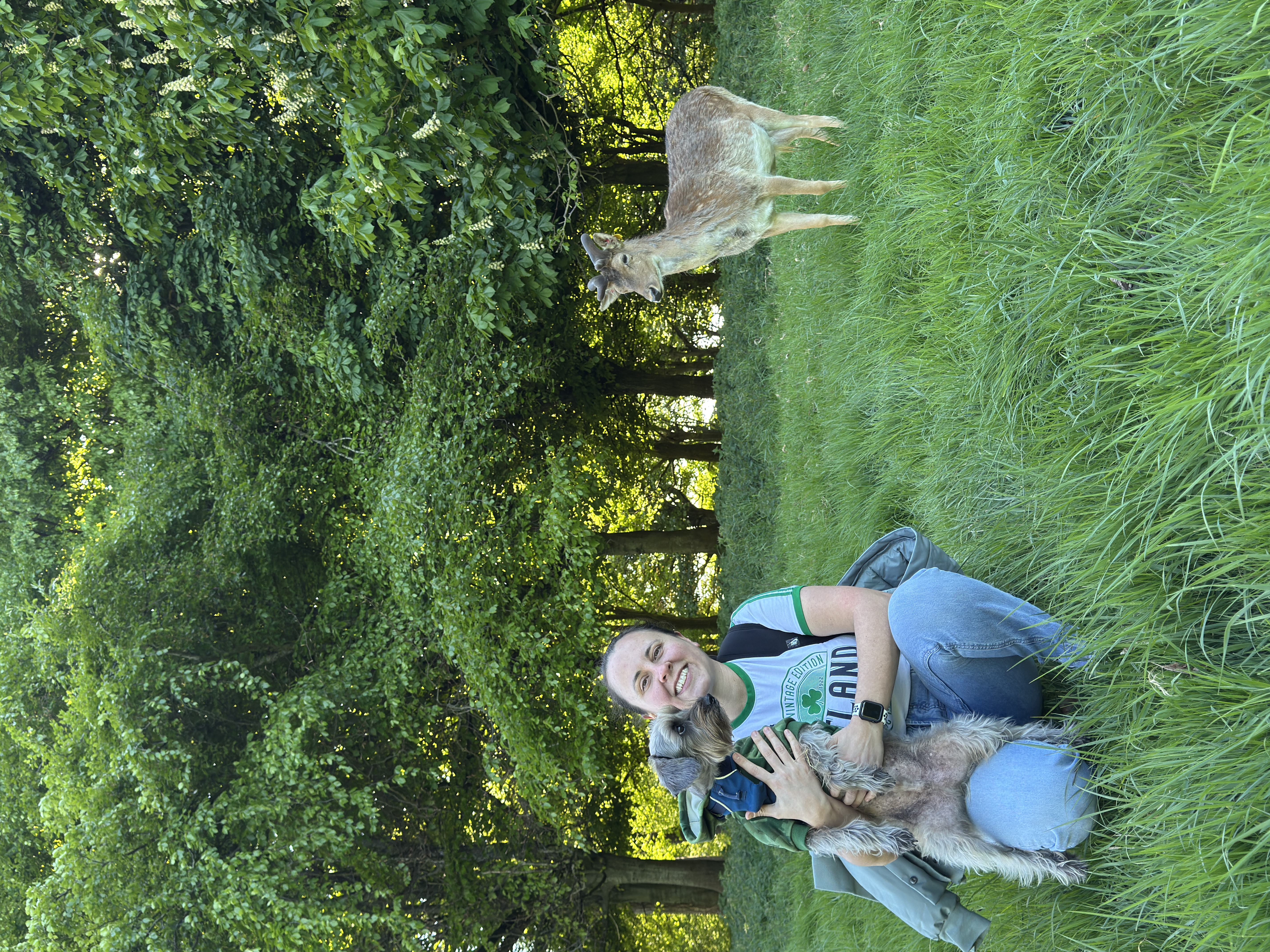 image-9