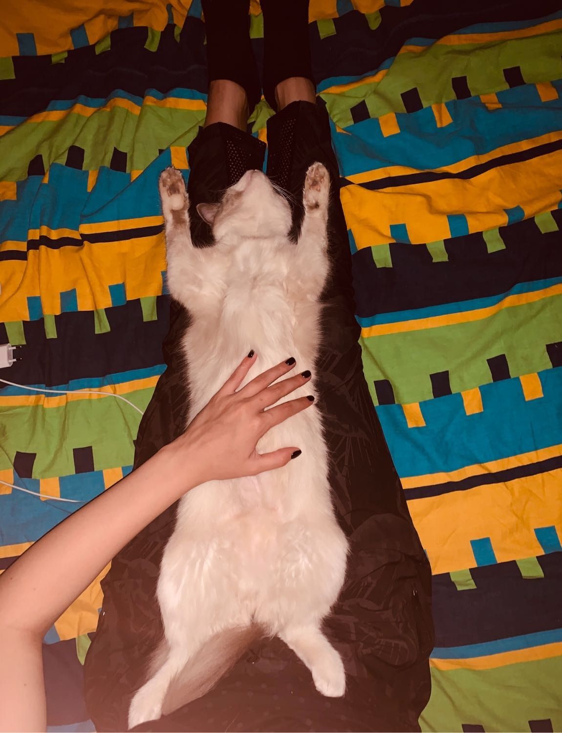 image-8