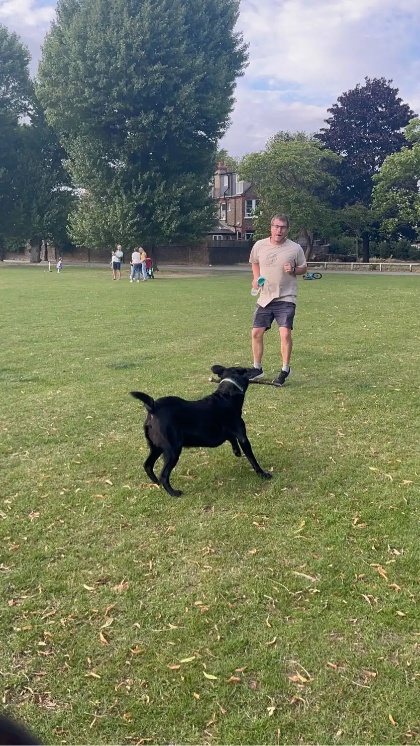 image-22