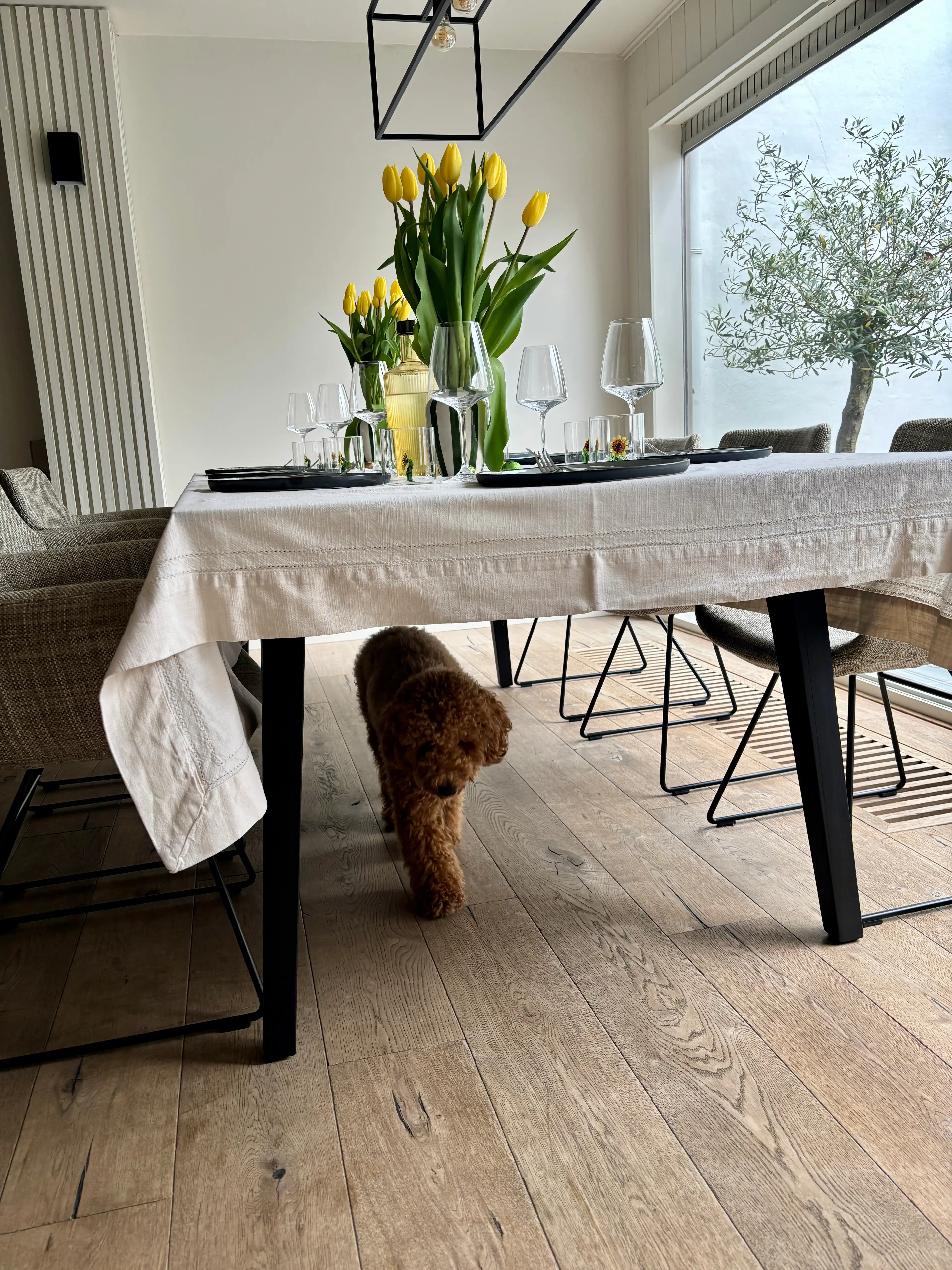 image-18