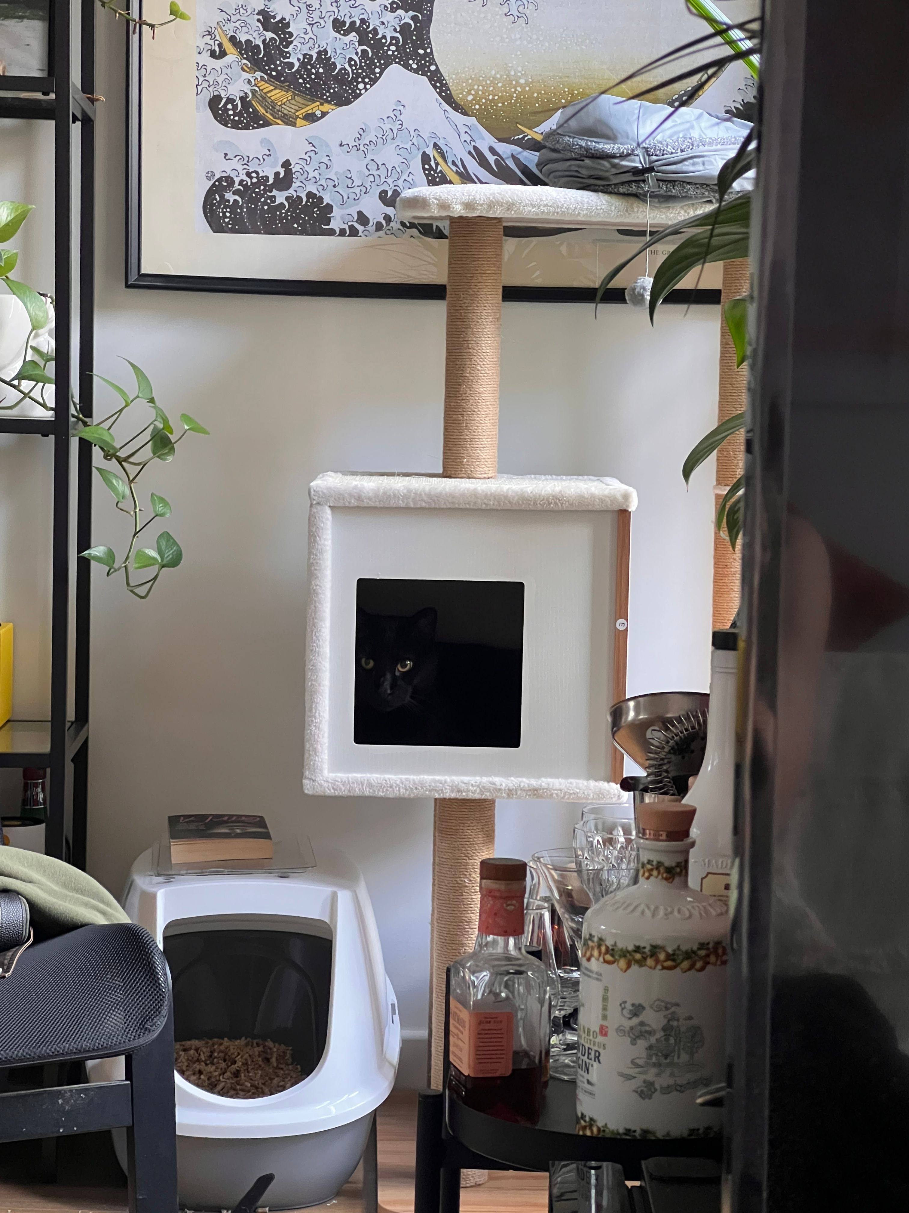 image-16