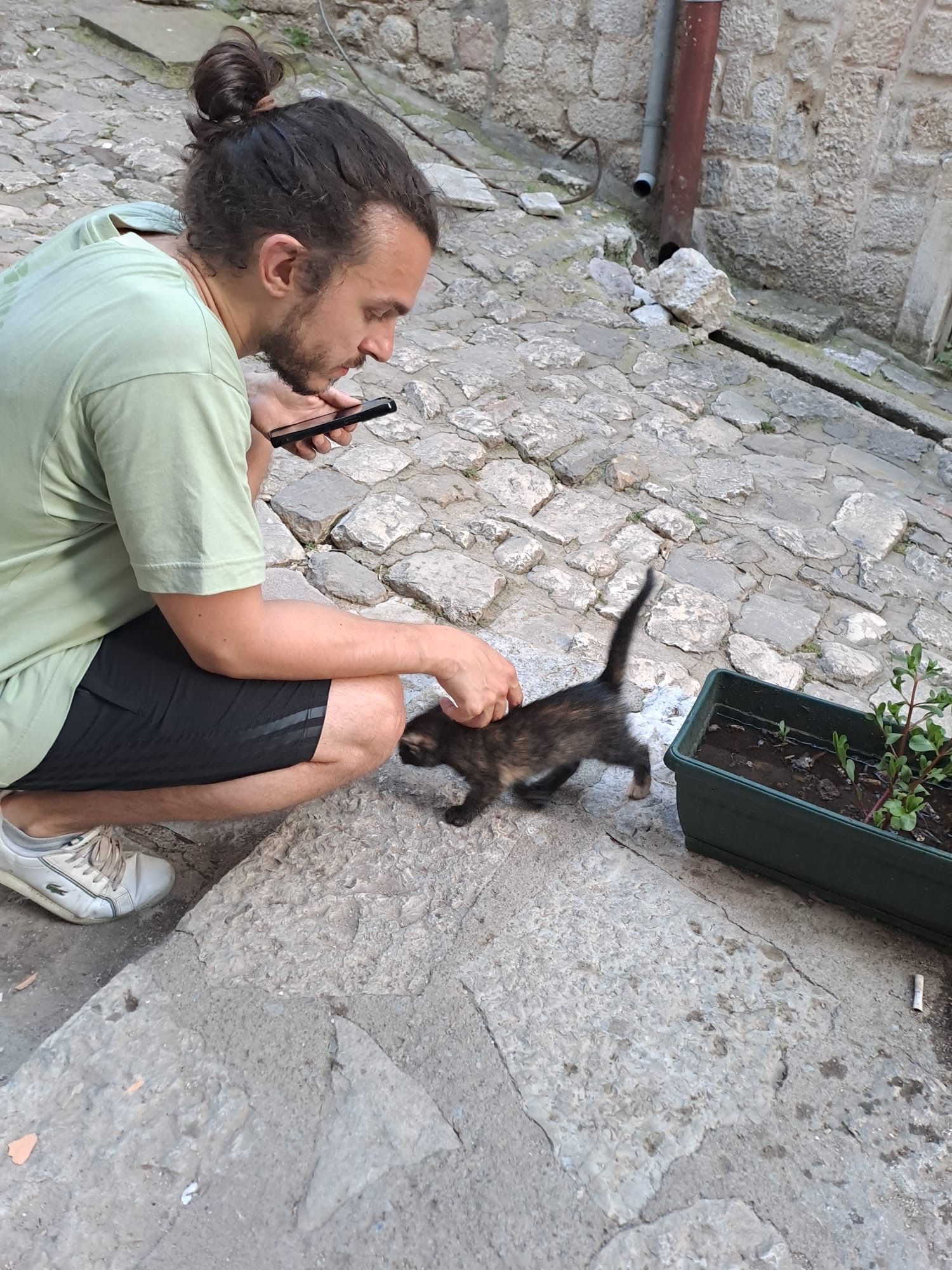 image-8