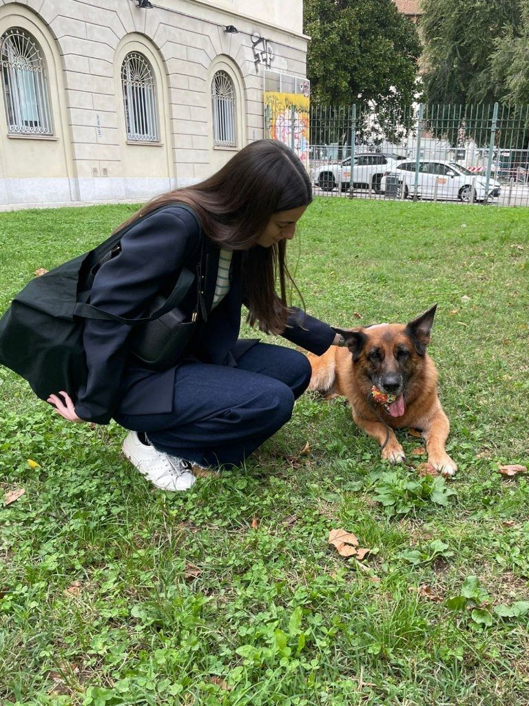 image-10
