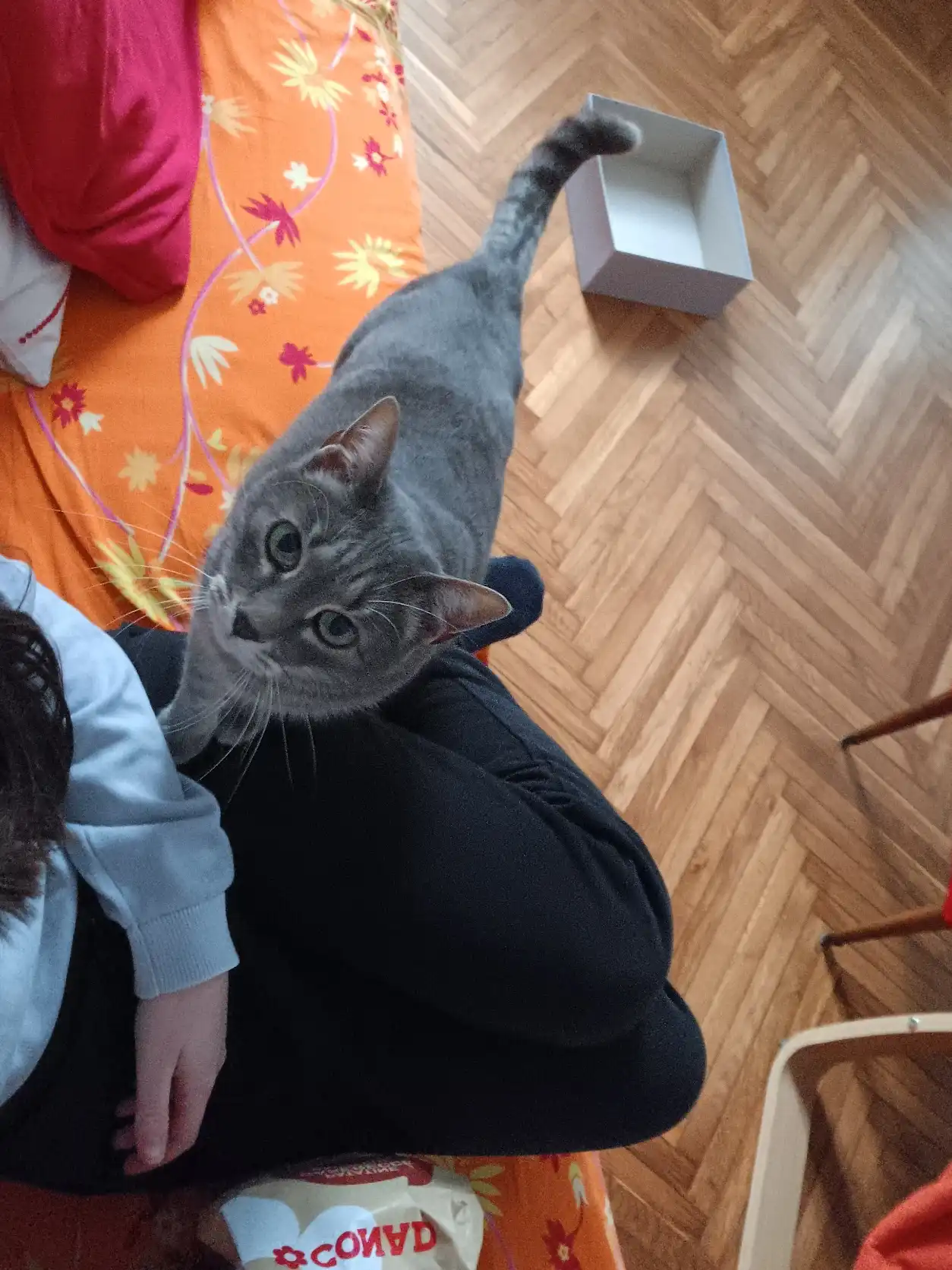 image-12