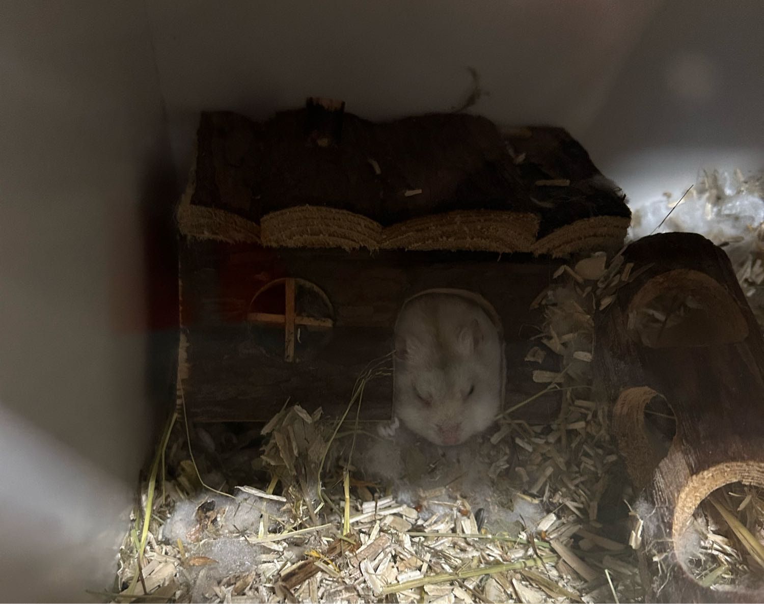 image-8