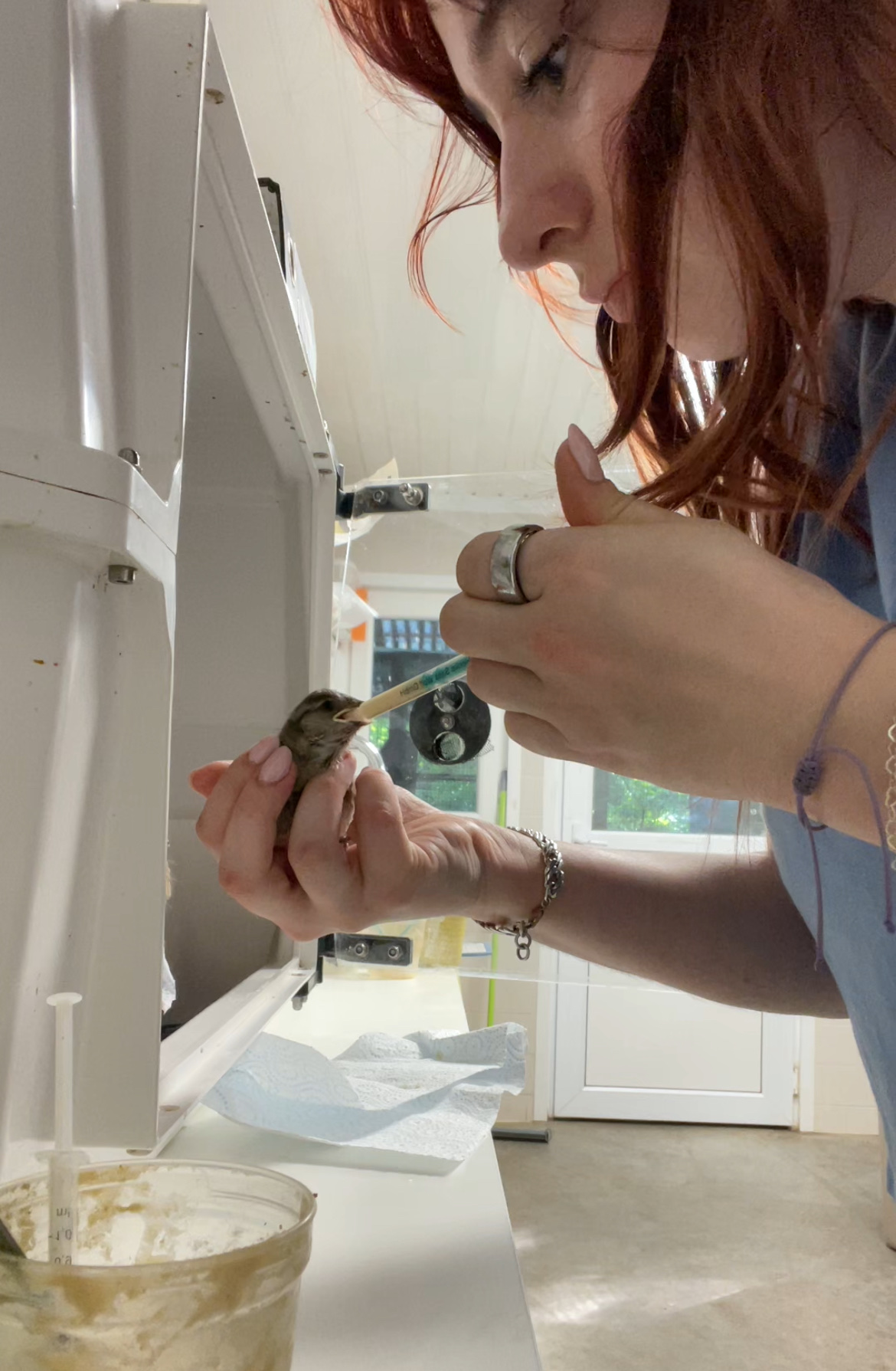 image-8