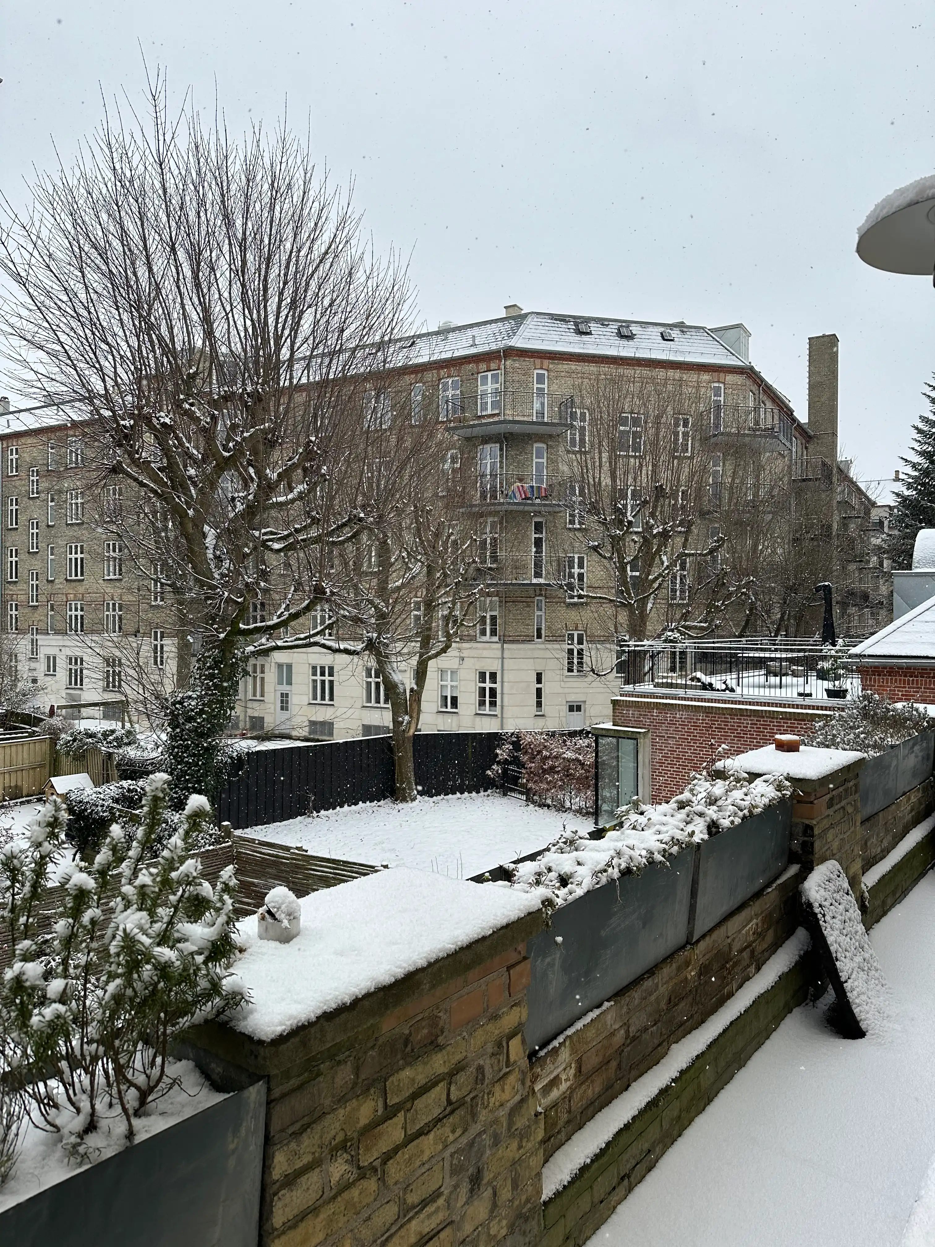 image-19