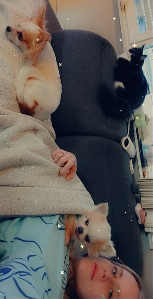 image-8