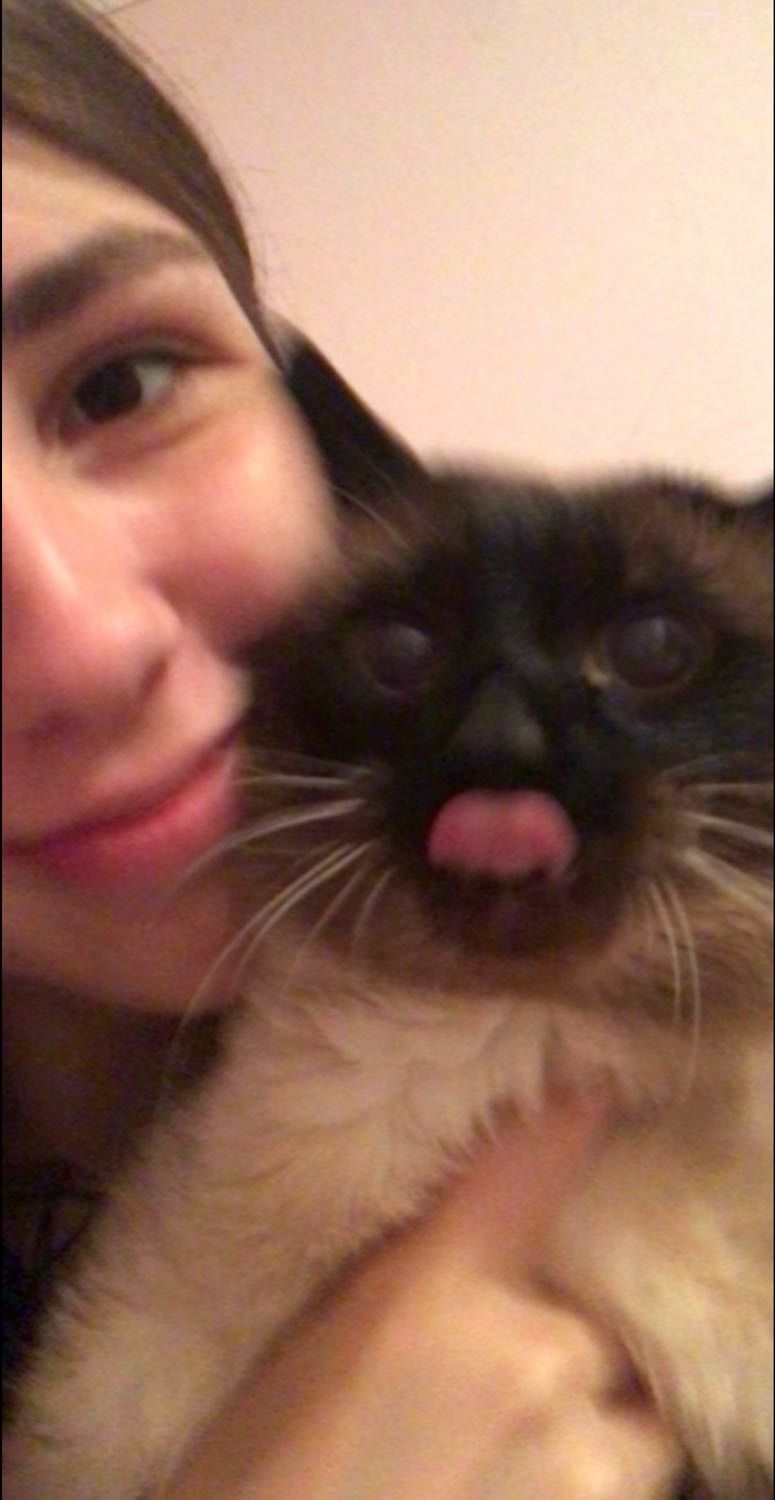 image-9